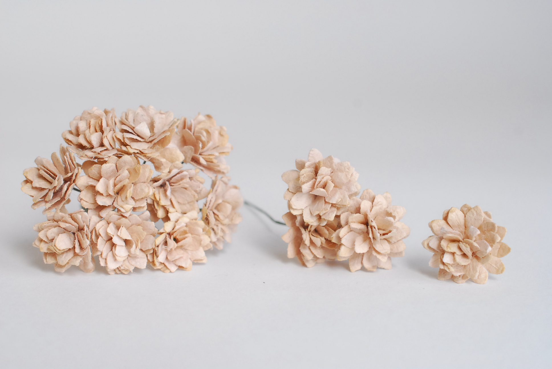 ดอกไม้ประดิษฐ์, ดอกไม้กระดาษสา, ดอก gypsophila, ดอกยิปโซ งานประดิษฐ์ตกแต่งของชำร่วย, ดอกไม้ทำพานพุ่ม,พานพวงมาลัย, พานรับไหว้, ขนาด 2 cm. สีน้ำตาลอ่อน