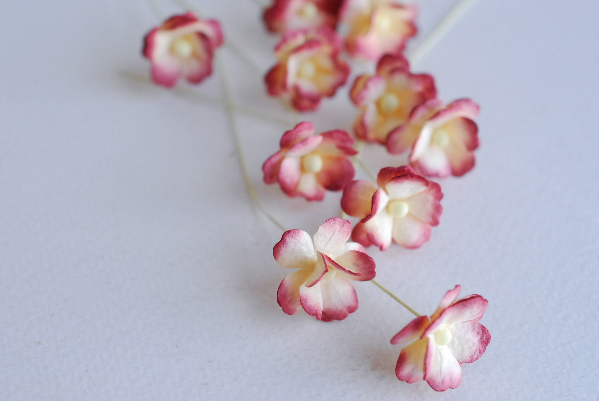 ดอกไม้กระดาษสา ราคาส่ง, ดอกไฮเดรนเยียกระดาษสา ดอกไม้ประดิษฐ์ ตกแต่งงานแต่งงาน ประดิษฐ์ข้อมือเพื่อนเจ้าสาว ขนา่ด 1.5 cm., สำหรับของชำร่วย, งานแต่งงาน, ดอกไม้ทำข้อมือเจ้าสาว สีแดง burgundy brush cream จำนวน 100 ดอก Paper flower,100 Pieces mulberry hydenyia,