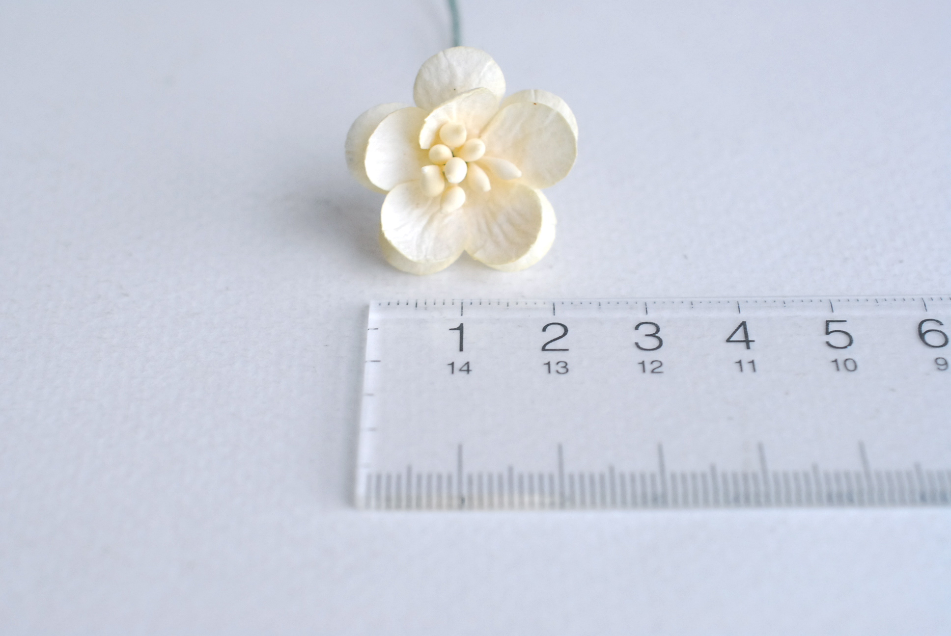 ดอกไม้กระดาษสา ดอกไม้กระดาษสาราคาส่ง ดอกไม้กระดาษสำหรับตกแต่งของชำร่วย งานแต่งงาน ทำช่อดอกไม้ติดอกเจ้าบ่าว ข้อมือดอกไม้เจ้าสาว ขนาด2.5 cm. 50 ดอก Paper flowers supplies: DIY wedding tools Cherry blossom (Sakura) 50 pcs. size 2.5 cm. Ivory color. สำเนา