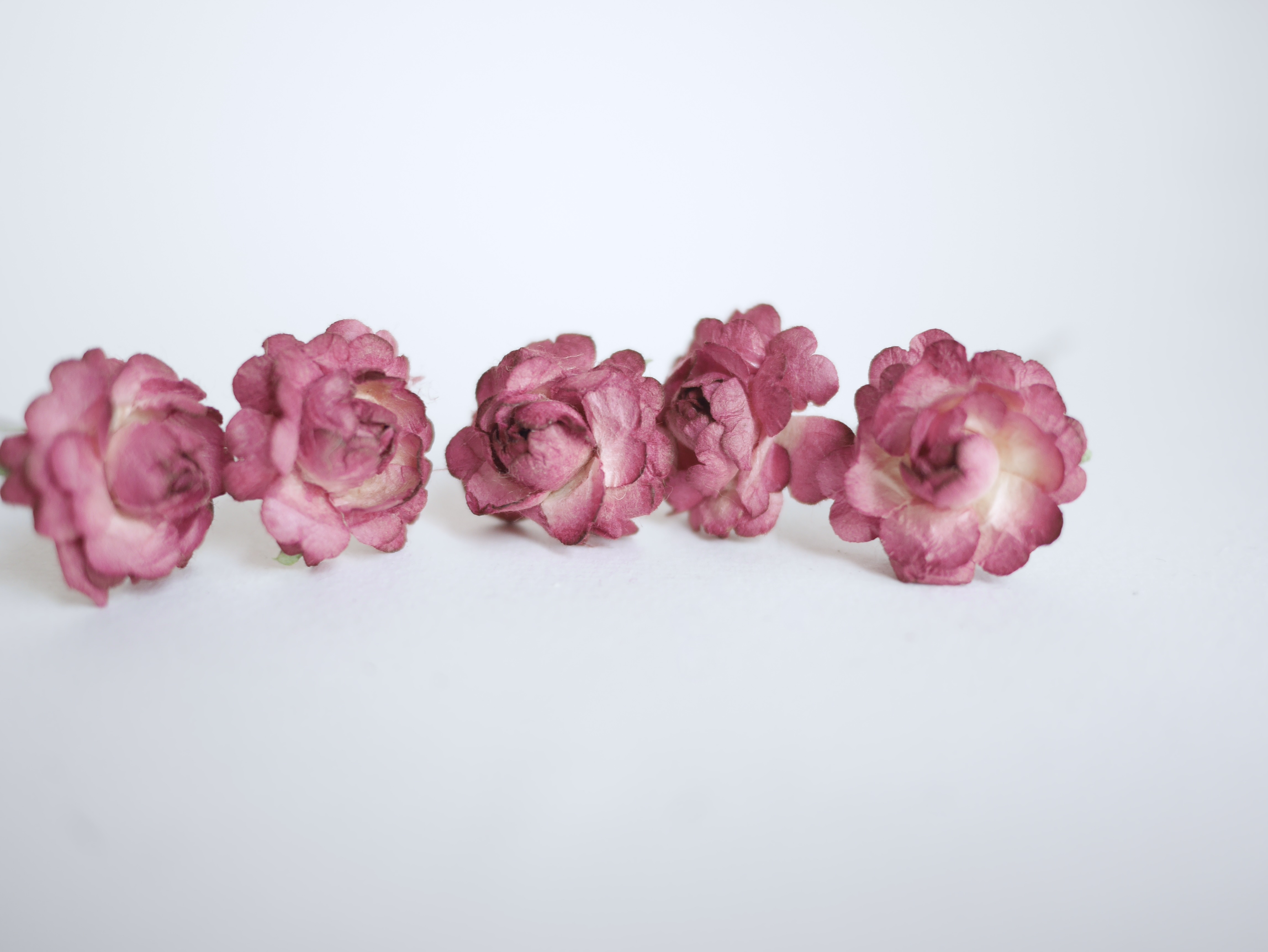 ดอกไม้กระดาษสา, ดอกไม้ตกแต่ง, ของชำร่วย, ดอกกุหลาบ สีเลือดหมู จำนวน 10 ดอก Paper flower, English peony Ranunculus roses 10 pcs., size 3 cm., burgundy color.