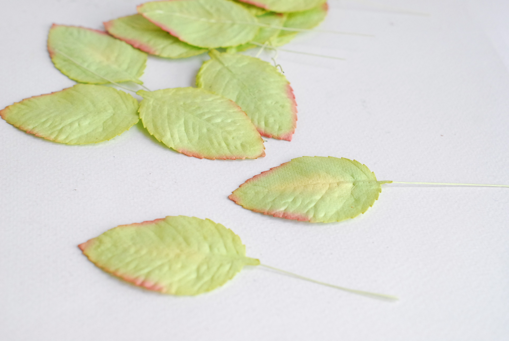 ใบไม้กระดาษ ใบไม้กระดาษสา ราคาส่ง,ใบไม่้กุหลาบกระดาษ สำหรับดอกกุหลาบกระดาษสา ใบไม้ประดิษฐ์ สำหรับตกแต่ง หรืองานแต่งงาน สีเขียวปัดแดง ขนาด6x4.5 cm. จำนวน 50 ใบ
