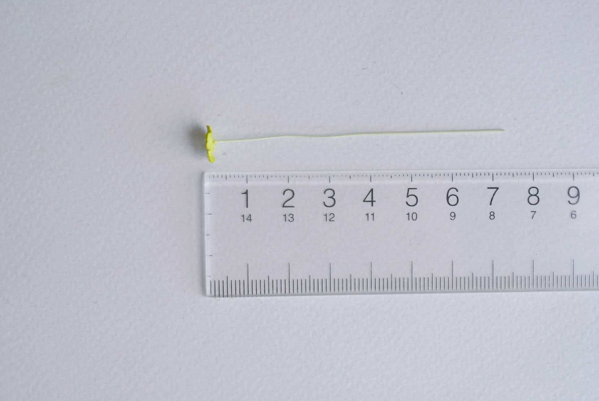 ดอกไม้กระดาษสา ดอกไม้กระดาษสาราคาส่ง ดอกไม้กระดาษสำหรับตกแต่ง งานแต่งงาน หรือติดของชำร่วย ดอกไม้จิ๋ว 100 ดอก ขนาด 0.6 cm. สีเขียว Small Paper Flower with stem, , 100 pcs., size 0.6 cm., small creeping ladies flowers 1 layer, green color.