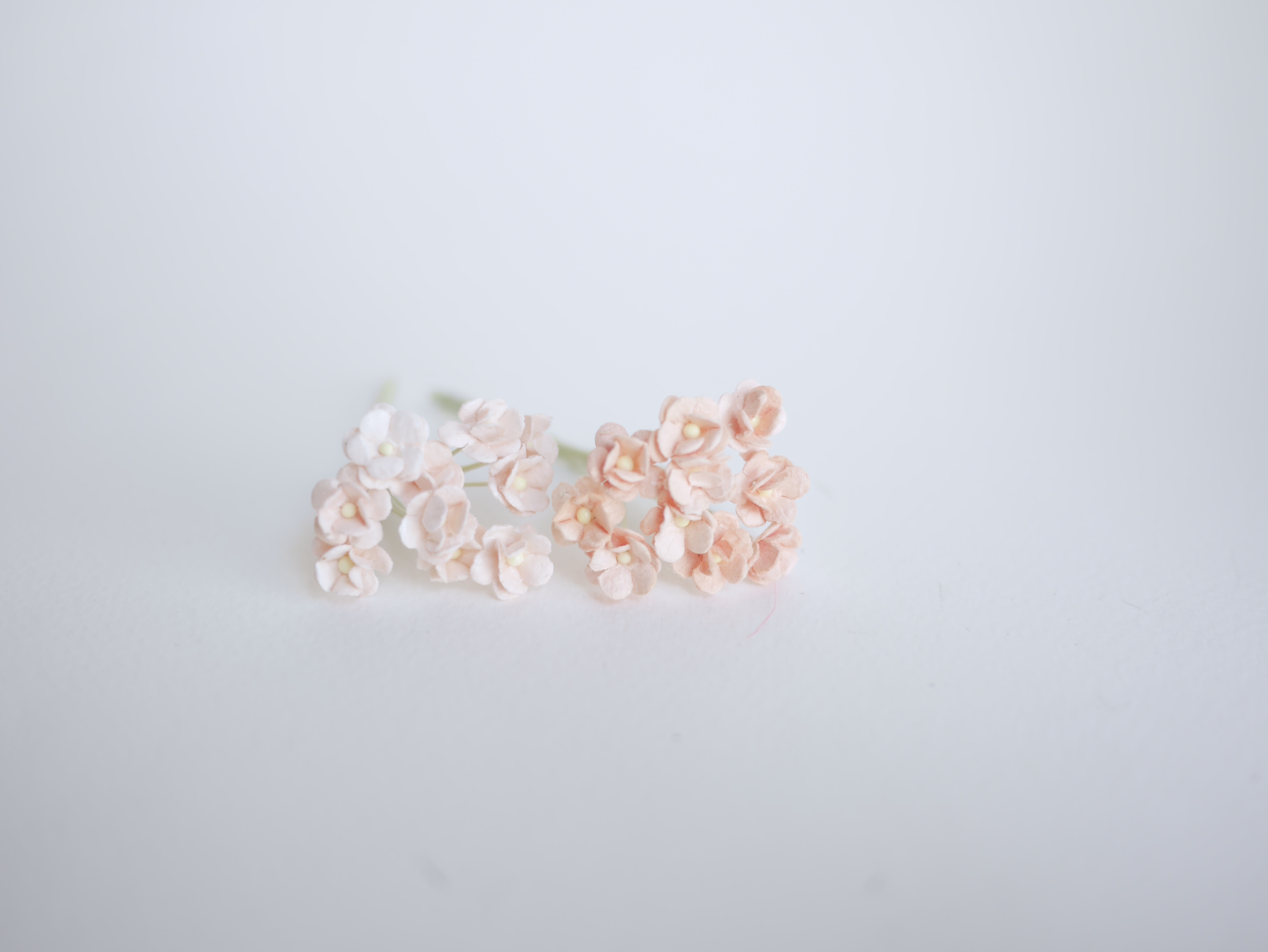 ดอกไม้กระดาษสา ดอกไม้กระดาษสาราคาส่ง ดอกไม้กระดาษสำหรับตกแต่ง งานแต่งงาน หรือติดของชำร่วย ดอก creeping lady 100 ดอก ขนาด 0.8 cm. คละสีพาสเทล Small Paper Flower with stem, , 100 pcs., size 0.8 cm., creeping flowers 2 layers, pastel mixed rainbow color.