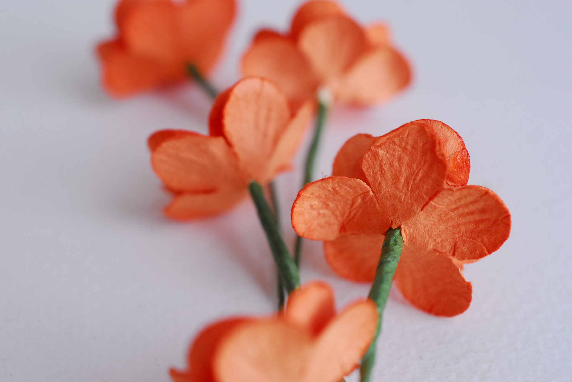 ดอกไม้กระดาษสา ดอกซากุระกระดาษสีส้ม ดอกไม้กระดาษสาราคาส่ง ดอกไม้กระดาษสำหรับตกแต่งของชำร่วย งานแต่งงาน ทำช่อดอกไม้ติดอกเจ้าบ่าว ข้อมือดอกไม้เจ้าสาว ขนาด2.5 cm. 50 ดอก Paper flowers supplies: DIY wedding tools Cherry blossom (Sakura) 50 pcs. size 2.5 cm.