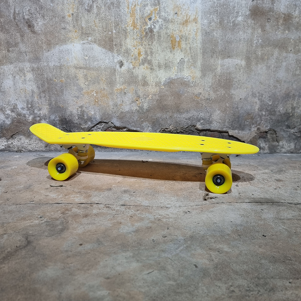 0202 Kid Skateboard ทรงเพนนี ล้อมีไฟ เลือกได้8สี น้ำหนักไม่เกิน 100kg