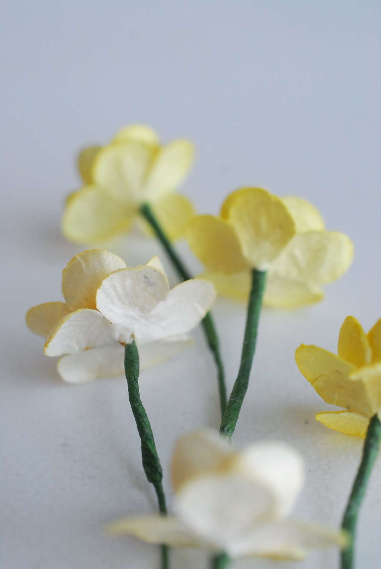 mixed ดอกไม้กระดาษสา ดอกไม้กระดาษสาราคาส่ง ดอกไม้กระดาษสำหรับตกแต่งของชำร่วย งานแต่งงาน ทำช่อดอกไม้ติดอกเจ้าบ่าว ข้อมือดอกไม้เจ้าสาว ขนาด2.5 cm. 50 ดอก สีครีมและสีเหลือง Paper flowers supplies: DIY wedding tools Cherry blossom (Sakura) 50 pcs. size 2.5 cm