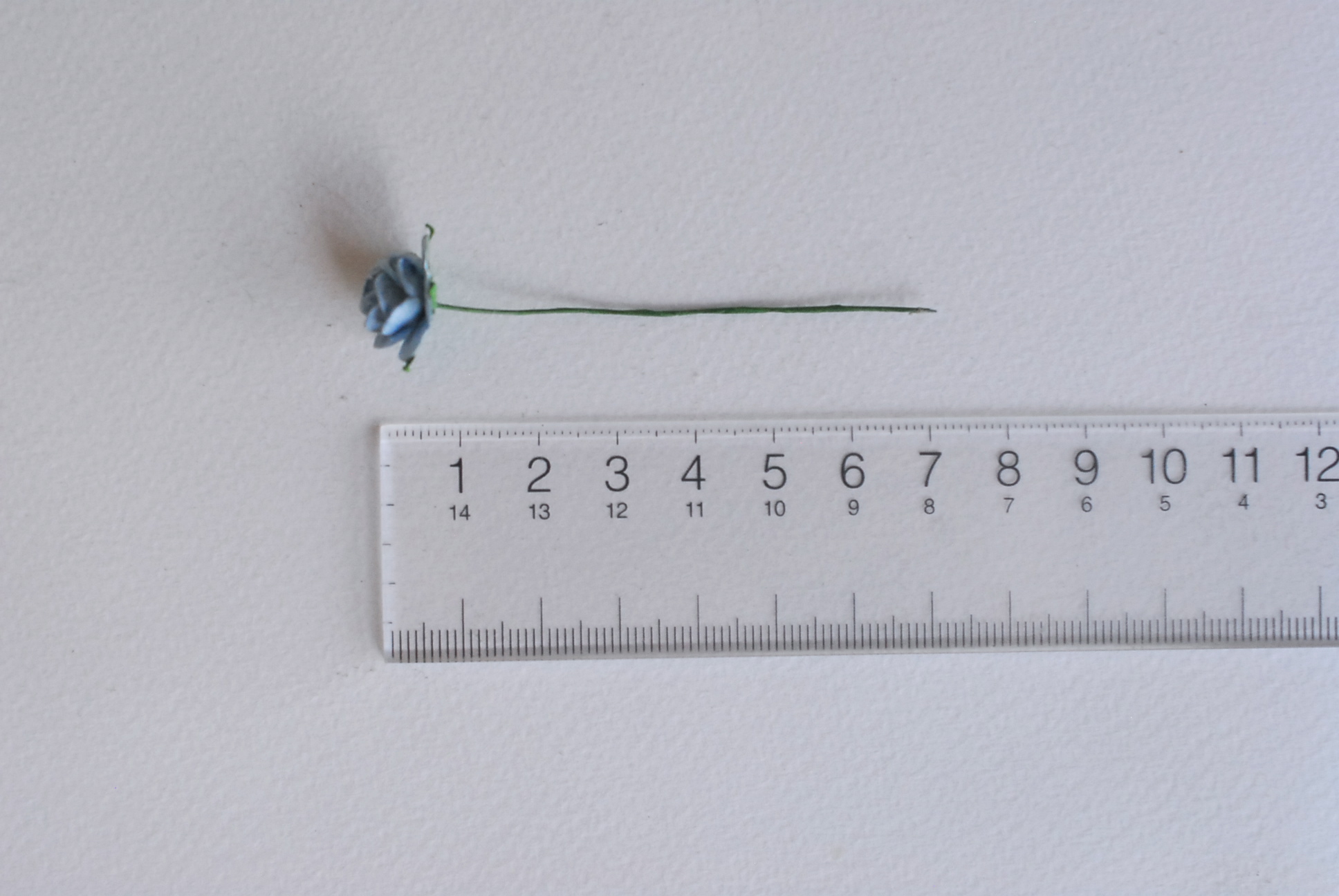 ซื้อ1 ห่อ แถม 1 ห่อ ดอกไม้กุหลาบกระดาษ ดอกไม้กระดาษสา, ดอกกุหลาบจิ๋ว, ดอกไม้กระดาษสาขายส่ง สีฟ้าตุ่น แถมสีฟ้าจุดขาว ขนาด 1.5 cm. จำนวน 100 ดอก Paper Flowers size 1.5 cm., mini roses pale blue color, 100 pcs. and get free 1 pack of blue sky-white color.