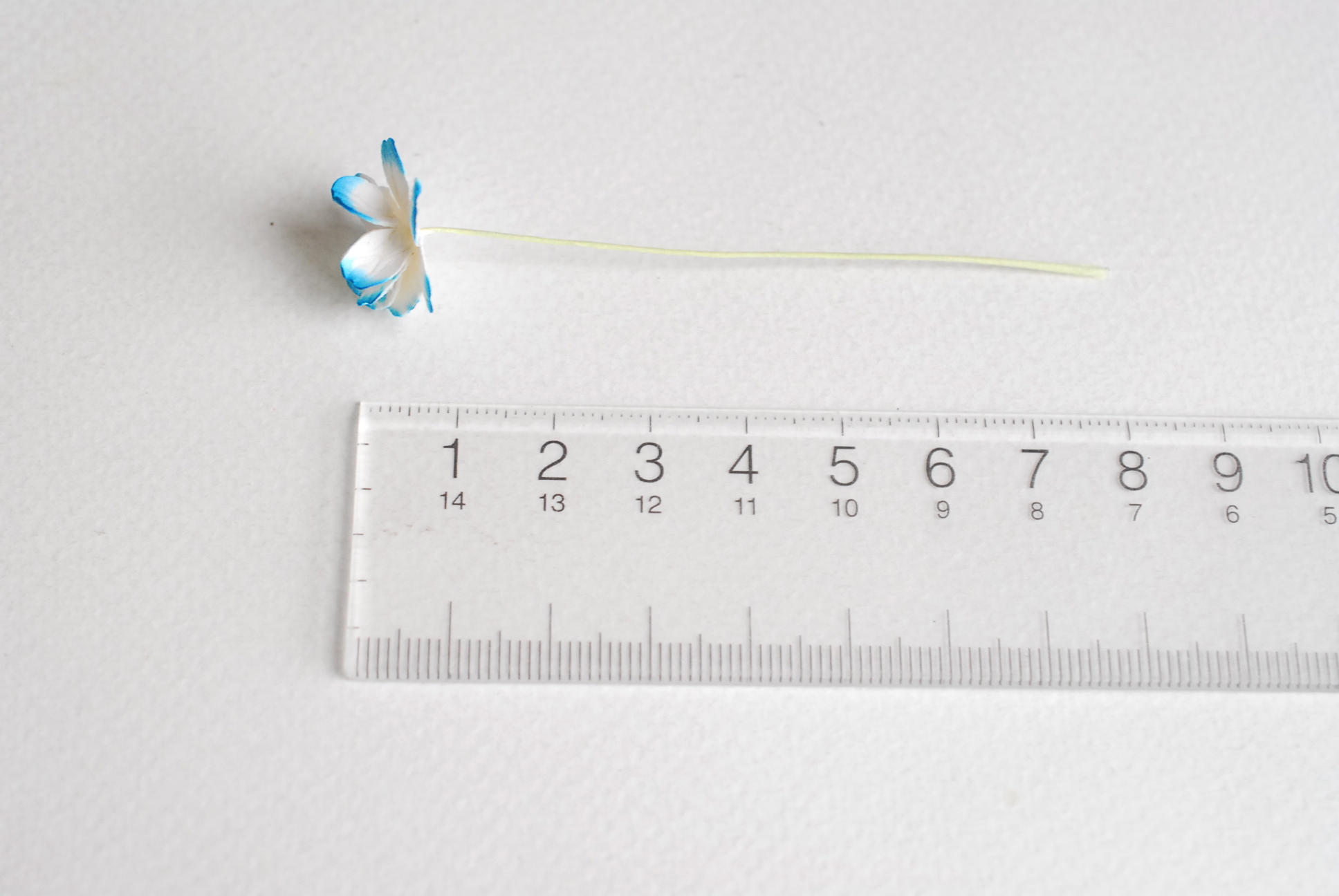 ดอกไม้กระดาษสา ราคาส่ง, ดอกไฮเดรนเยียกระดาษสา ดอกไม้ประดิษฐ์ ตกแต่งงานแต่งงาน ประดิษฐ์ข้อมือเพื่อนเจ้าสาว ขนา่ด 1.5 cm., สำหรับของชำร่วย, งานแต่งงาน, ดอกไม้ทำข้อมือเจ้าสาว สีฟ้าปัดขาว blue sky brush white จำนวน 100 ดอก Paper flower,100 Pieces mulberry hyd