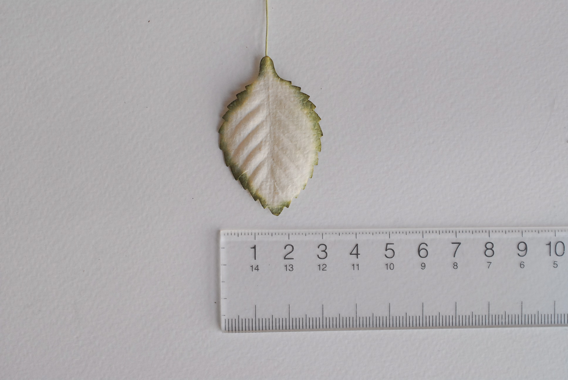 ใบไม้กระดาษ ใบไม้กระดาษสา ราคาส่ง,ใบไม่้กุหลาบกระดาษ สำหรับดอกกุหลาบกระดาษสา ใบไม้ประดิษฐ์ สำหรับตกแต่ง หรืองานแต่งงาน สีขาวปัดเขียวแก่ ขนาด 4.5x2.5 cm. จำนวน 50 ใบ