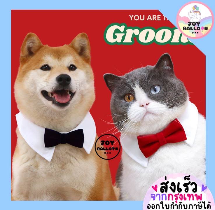 ปลอกคอ ทักซิโด้ พร้อบถ่ายรูปสัตว์เลี้ยง แมว สุนัข น้องหมา พร้อบถ่ายรูปแต่งงาน Happy Wedding (ส่งเร็วจากกุรงเทพ) หูกระต่าย