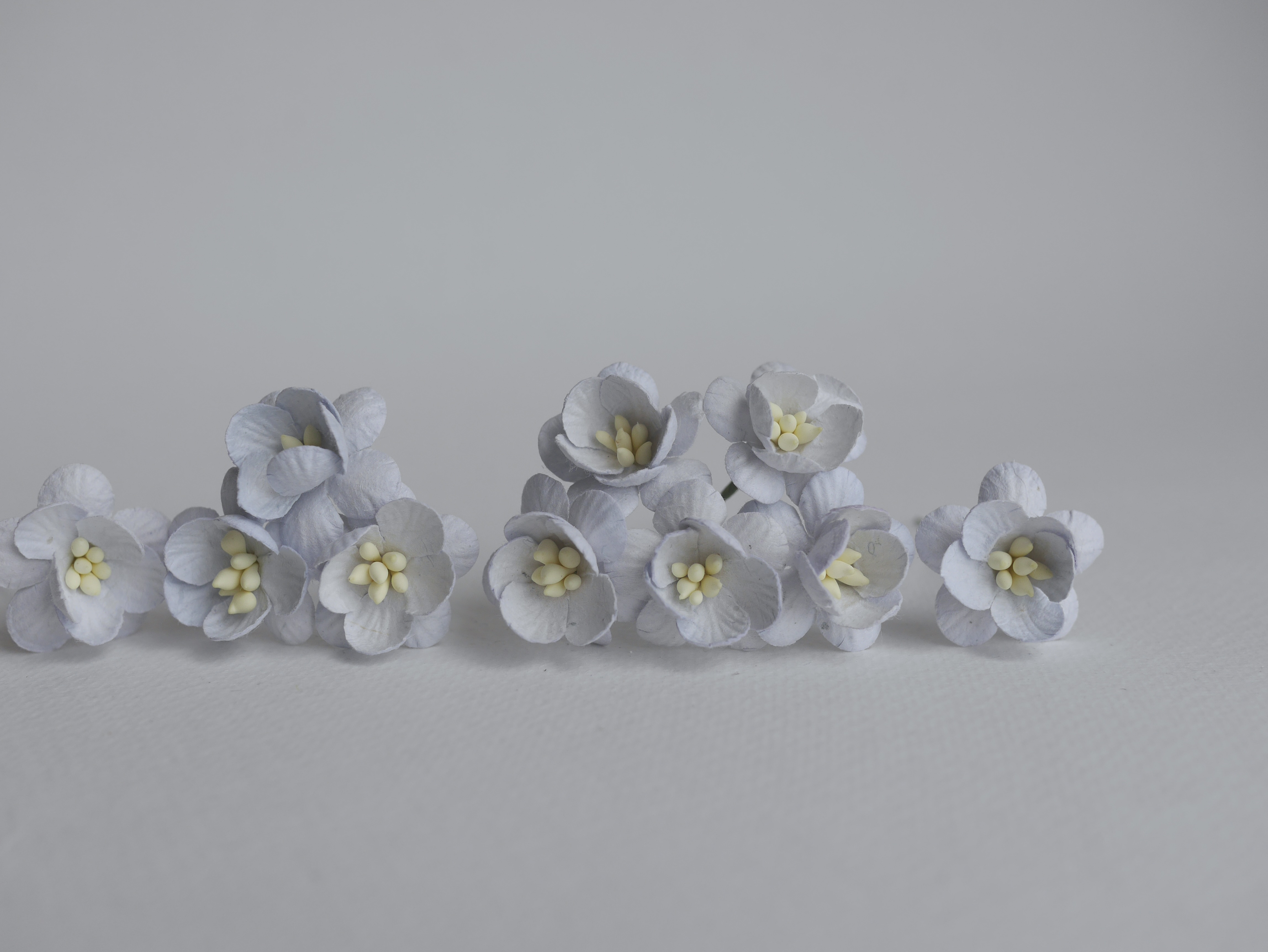 ดอกไม้กระดาษสา ดอกซากุระกระดาษ ขนาดเล็ก ดอกไม้กระดาษสาราคาส่ง ดอกไม้กระดาษสำหรับตกแต่งของชำร่วย งานแต่งงาน ทำช่อดอกไม้ติดอกเจ้าบ่าว ข้อมือดอกไม้เจ้าสาว ขนาด 2.5 cm. 50 ดอก สีเทาฟ้าตุ่น Paper flowers supplies: DIY wedding tools small Cherry blossom (Sakura