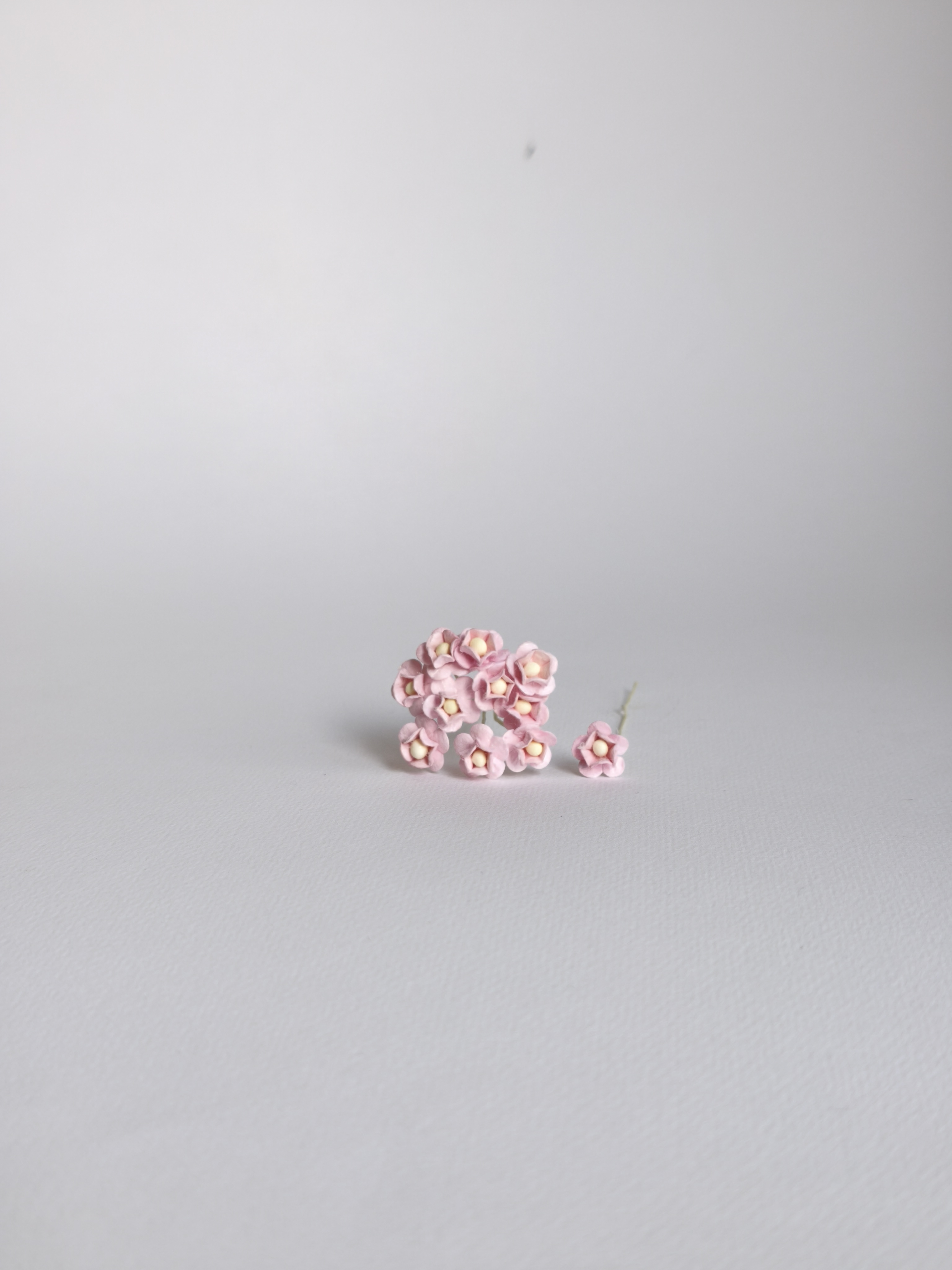 ดอกไม้กระดาษสา ดอกไม้กระดาษสาราคาส่ง ดอกไม้กระดาษสำหรับตกแต่ง งานแต่งงาน หรือติดของชำร่วย ดอก creeping lady 100 ดอก ขนาด 0.8 cm. สีชมพูกลาง Small Paper Flower with stem, 100 pcs., size 0.8 cm., creeping flowers 2 layers, pink color