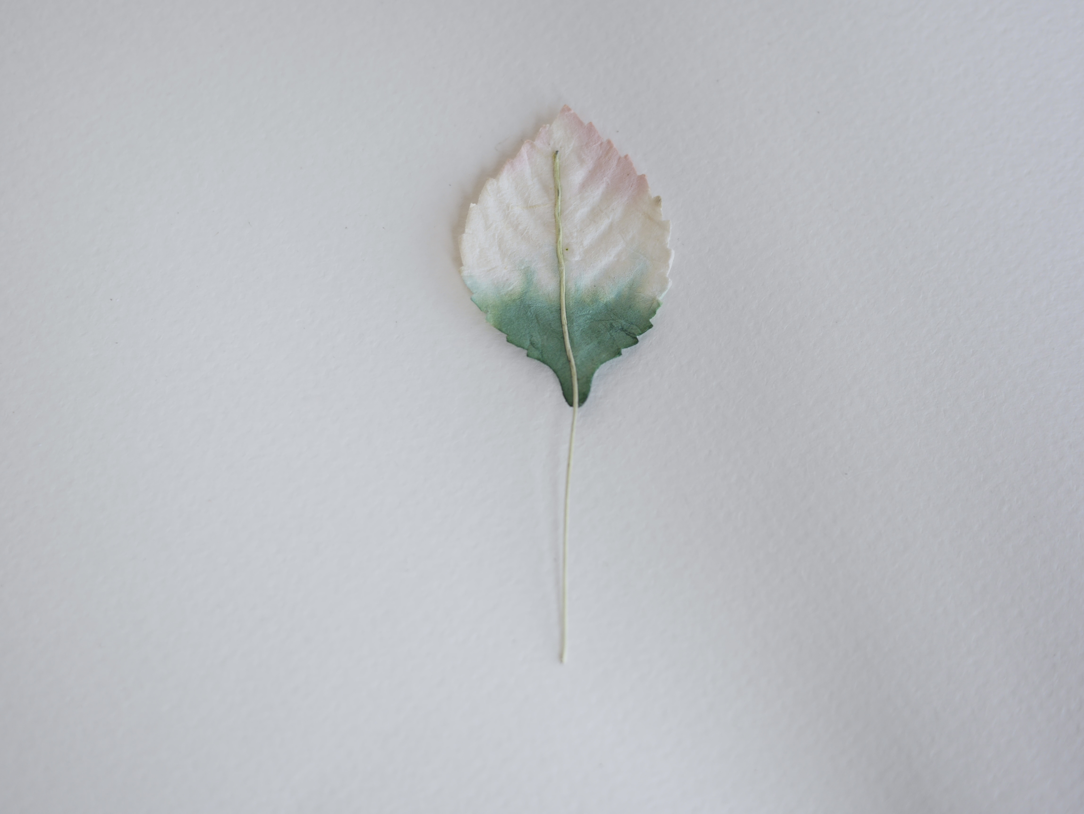 ใบไม้กระดาษ ใบไม้กระดาษสา ราคาส่ง,ใบไม่้กุหลาบกระดาษ สำหรับดอกกุหลาบกระดาษสา ใบไม้ประดิษฐ์ สำหรับตกแต่ง หรืองานแต่งงาน สีขาวปัดเขียวแก่ ขนาด 4.5x2.5 cm. จำนวน 50 ใบ สำเนา