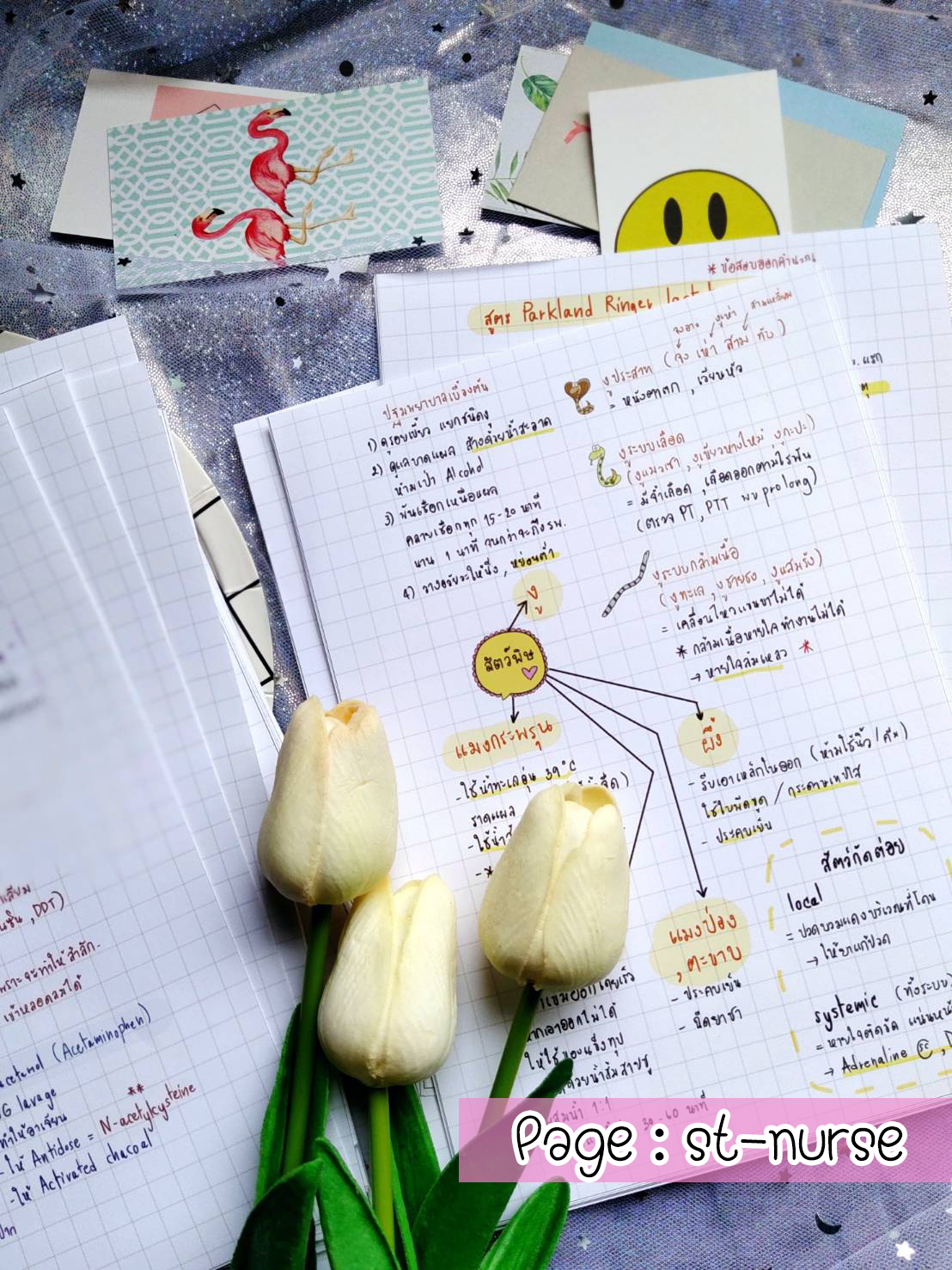 shortnote ชุมชนและการรักษาเบื้องต้น