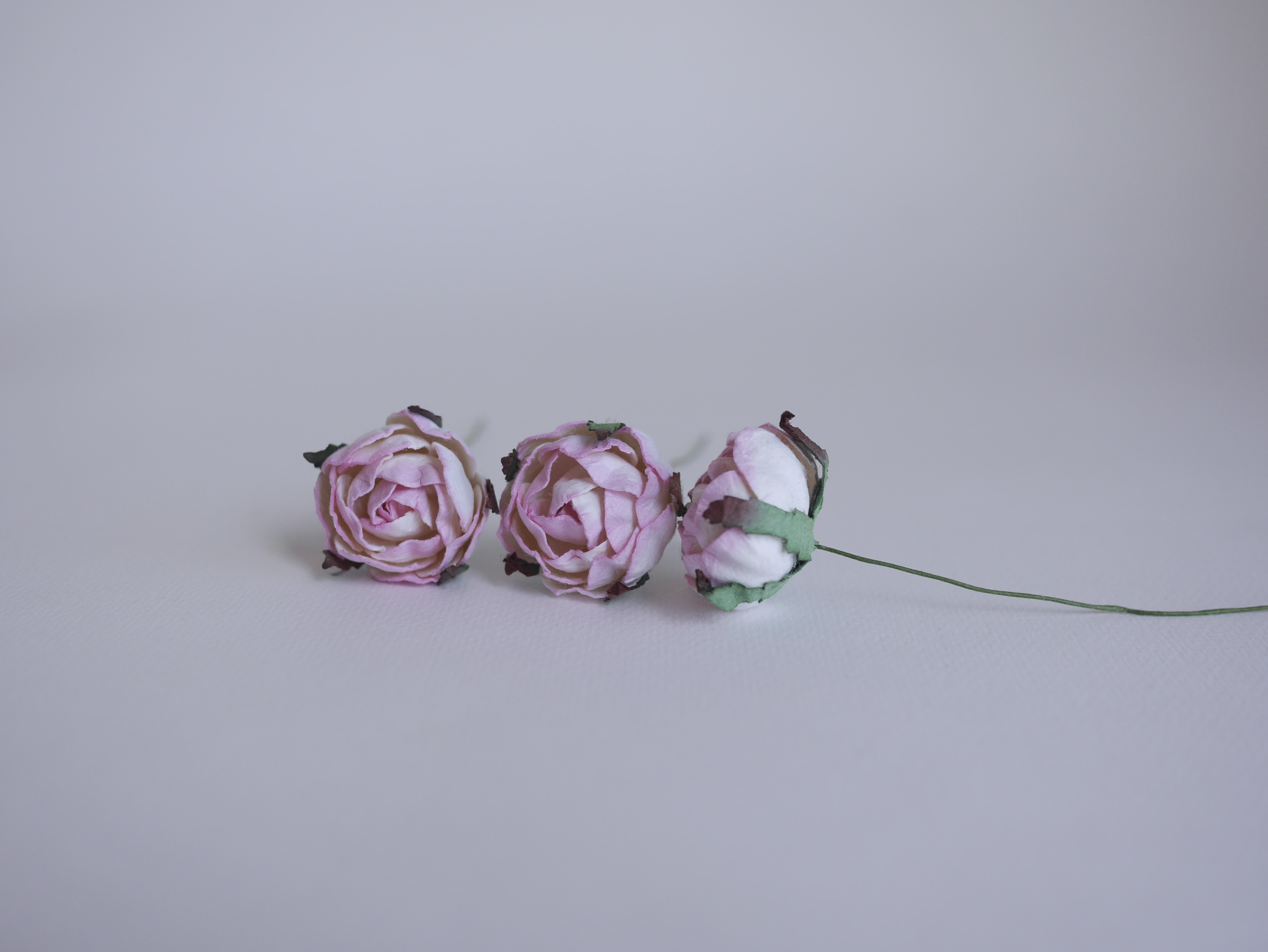 ดอกกุหลาบกระดาษสา peony ดอกไม้กระดาษสาราคาส่ง, ดอกไม้กระดาษ,ดอกไม้ประดิษฐ์ สำหรับตกแต่งของชำร่วย งานแต่งงาน ดอกกุหลาบกลม peony ขนาด 3.5 cm. จำนวน 25 ดอก, สีชมพูปัดสีขาว Paper Flowers, Peony flowers supplies size 3.5cm./ 25 pieces, handmade flowers. pink b