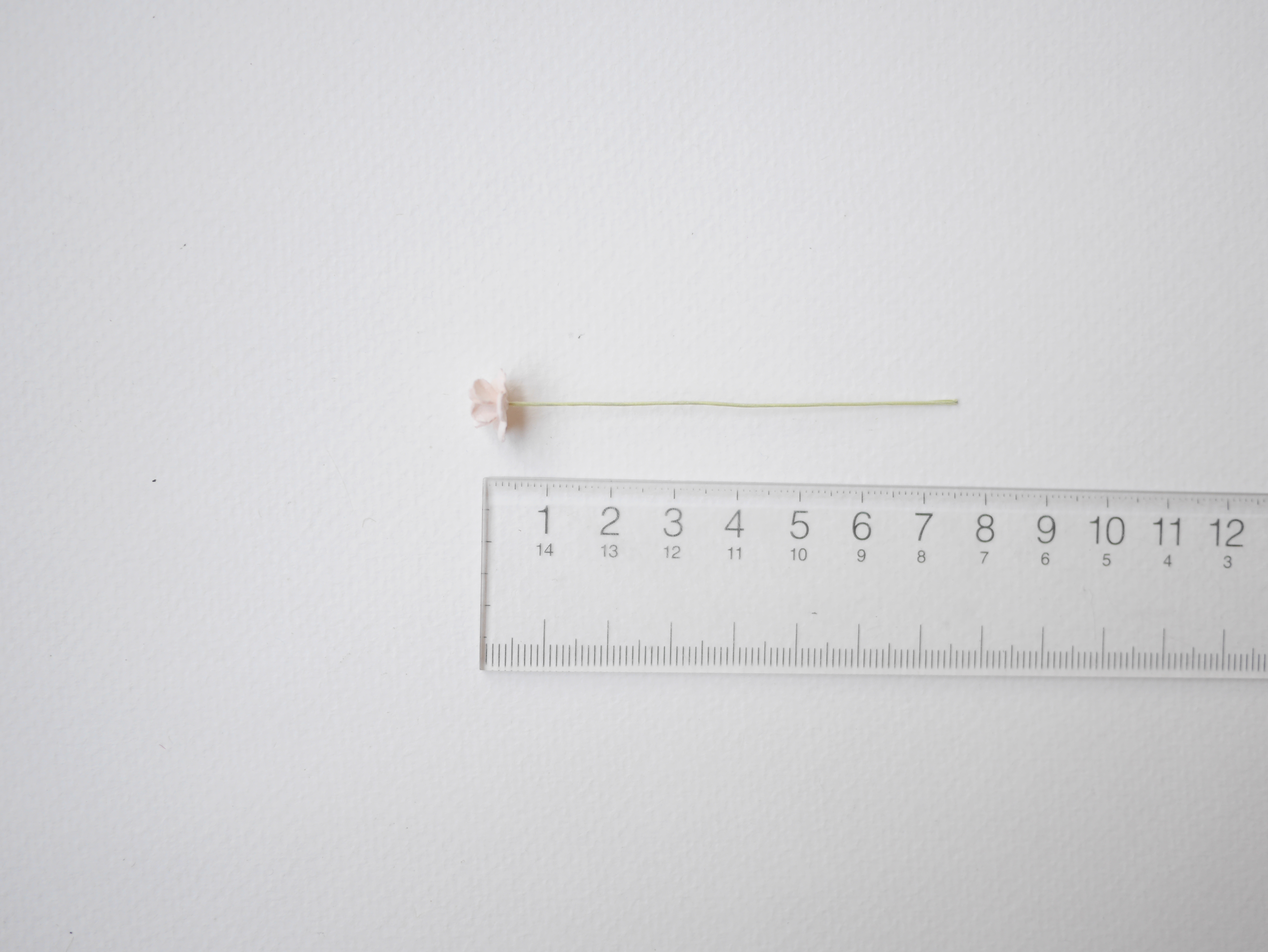 ดอกไม้กระดาษสา ดอกไม้กระดาษสาราคาส่ง ดอกไม้กระดาษสำหรับตกแต่ง งานแต่งงาน หรือติดของชำร่วย ดอก creeping lady 100 ดอก ขนาด 0.8 cm. สีชมพูพีชอ่อน Small Paper Flower with stem, 100 pcs., size 0.8 cm., creeping flowers 2 layers, pale pink color