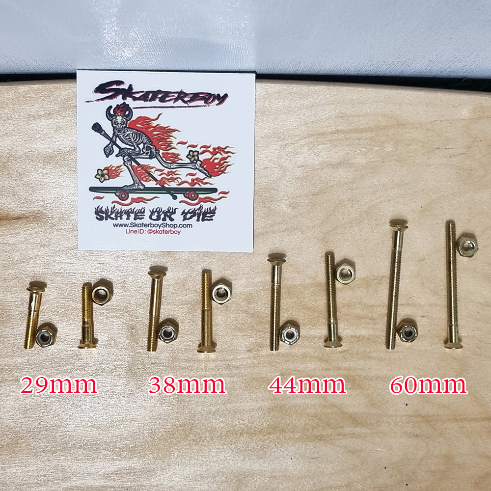 [0309] น็อตทอง ยึดทรัคสเก็ตบอร์ด ยาว 29, 38, 44, 60mm มีบ่า ถนอมไม้ หัวหกเหลี่ยม ตัวผู้พร้อมตัวเมีย คือ1คู่