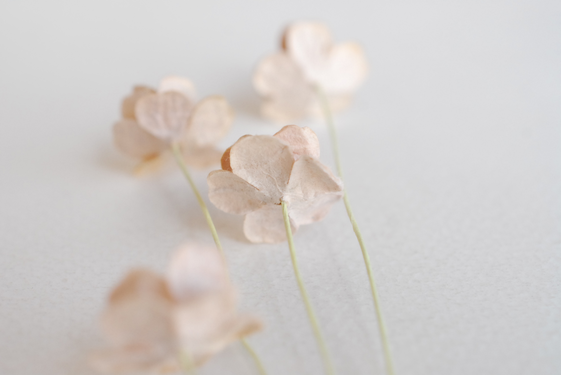 ดอกไม้กระดาษสา ราคาส่ง, ดอกไฮเดรนเยียกระดาษสา ดอกไม้ประดิษฐ์ ตกแต่งงานแต่งงาน ประดิษฐ์ข้อมือเพื่อนเจ้าสาว ขนา่ด 1.5 cm., สำหรับของชำร่วย, งานแต่งงาน, ดอกไม้ทำข้อมือเจ้าสาว สีน้ำตาลอ่อน จำนวน 100 ดอก Paper flower,100 Pieces mulberry hydenyia light brown co