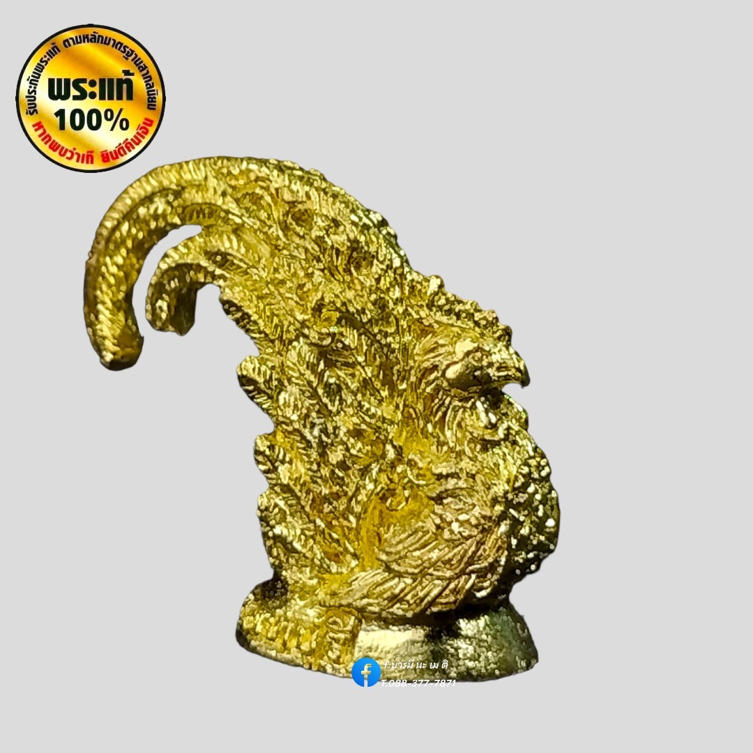 พญาไก่ โชคดี หลวงพ่อรวย ปาสาทิโก วัดตะโก