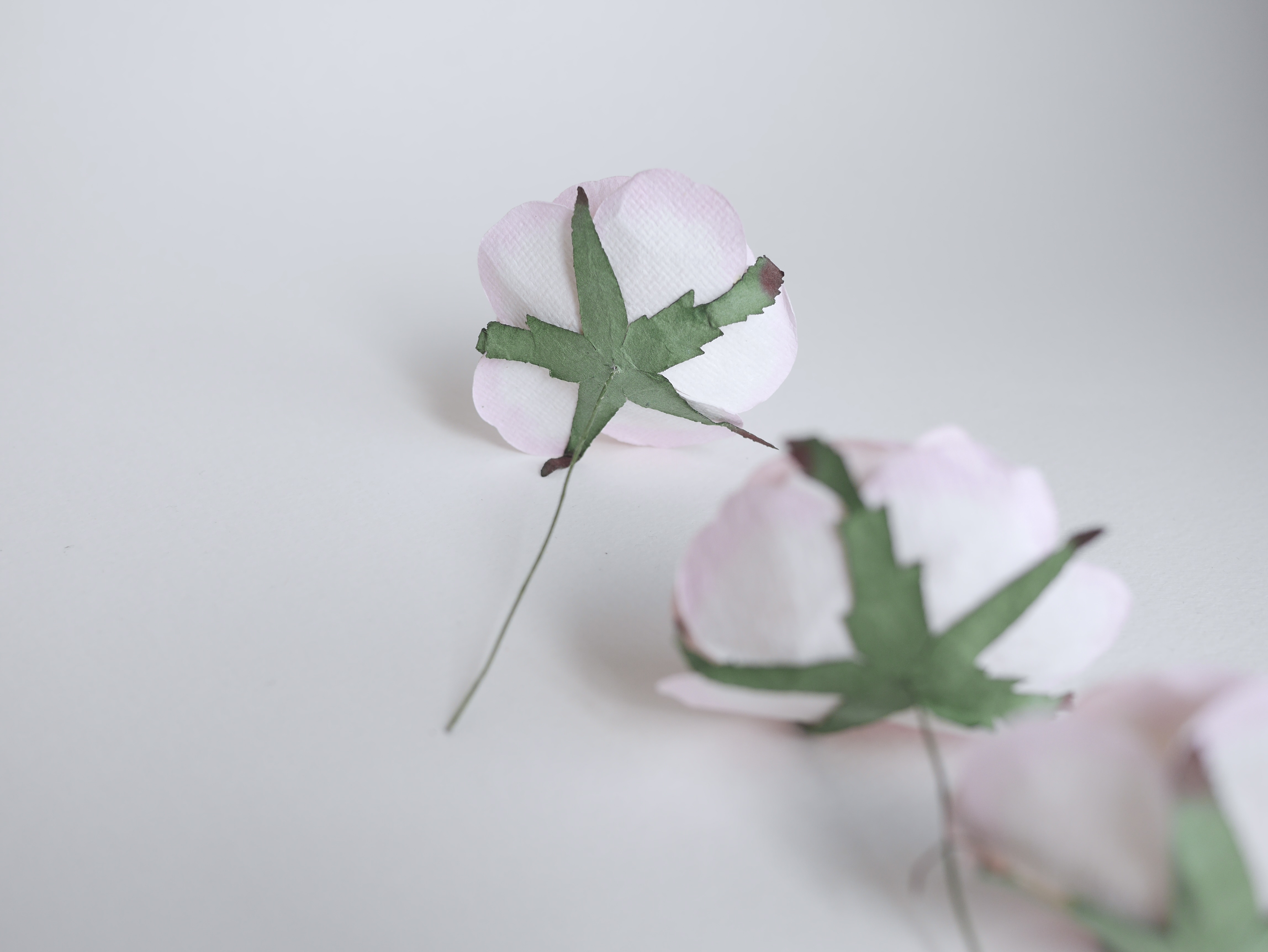 ดอกไม้กระดาษสา ดอกไม้กุหลาบกระดาษ ดอกกุหลาบกระดาษ ขนาด 6.5 cm.,จำนวน 3 ดอก, สำหรับของชำร่วย, งานแต่งงาน, สีชมพูอ่อนปัดขาว Paper flower, 3 Pieces mulberry rose, 6.5 cm. soft pink brush white color สำเนา