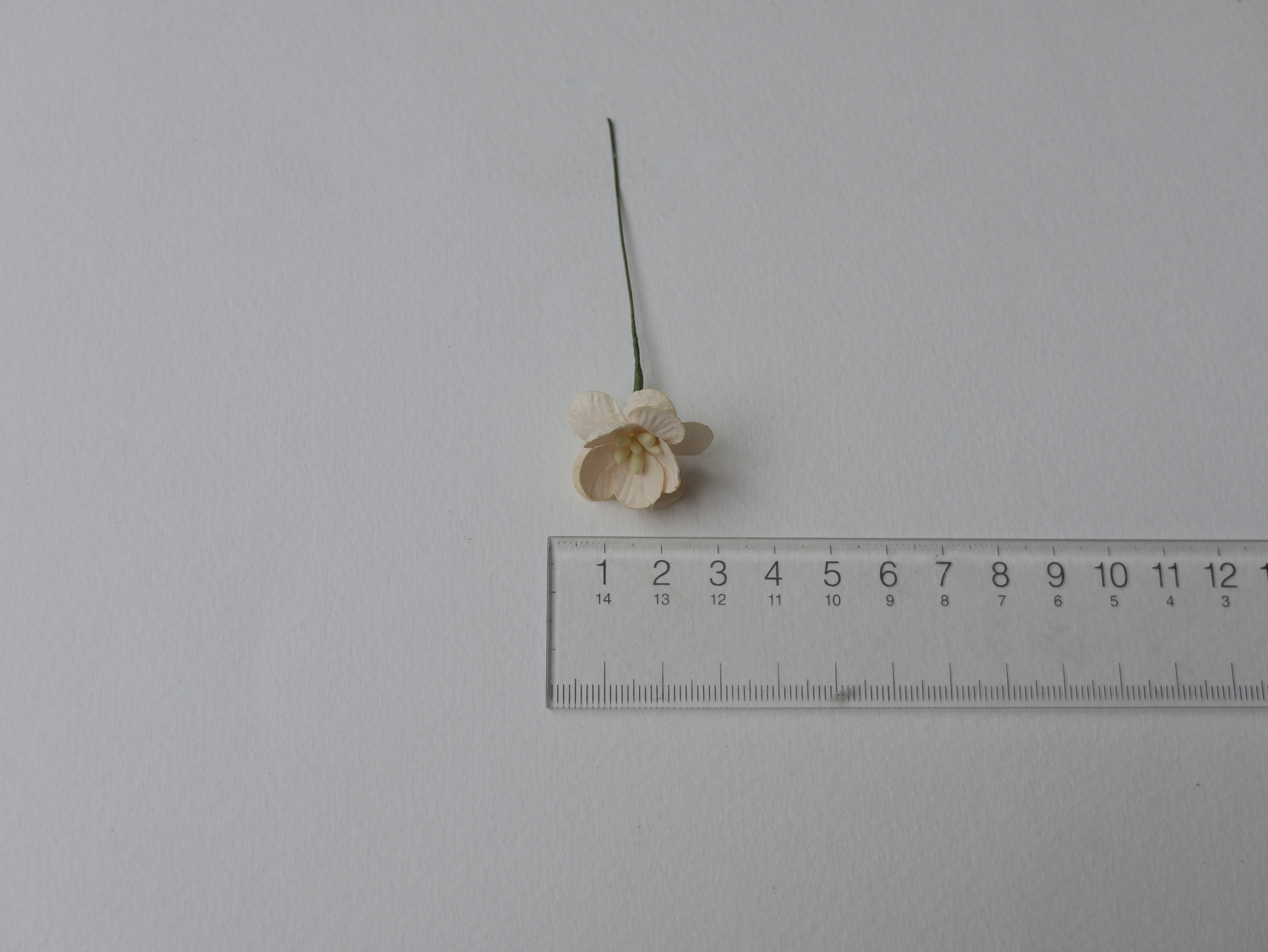 ดอกไม้กระดาษสา ดอกซากุระกระดาษ ขนาดเล็ก ดอกไม้กระดาษสาราคาส่ง ดอกไม้กระดาษสำหรับตกแต่งของชำร่วย งานแต่งงาน ทำช่อดอกไม้ติดอกเจ้าบ่าว ข้อมือดอกไม้เจ้าสาว ขนาด 2.5 cm. 50 ดอก สีเหลืองไข่ Paper flowers supplies: DIY wedding tools small Cherry blossom (Sakura)