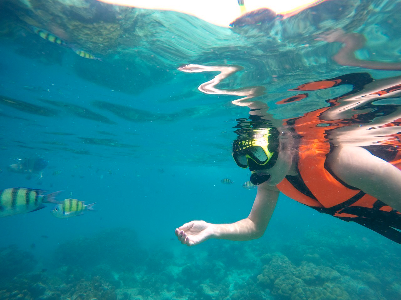 ทัวร์เกาะพีพี เรือเฟอรี่