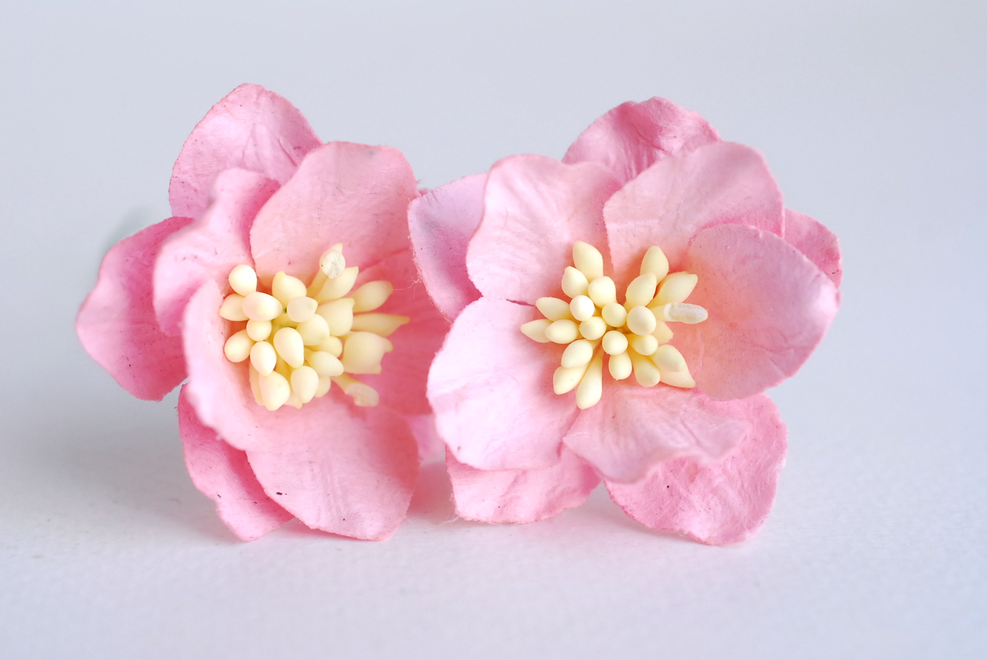 ดอกไม้กระดาษสา ดอกโลตัสอินโดนิเซียกระดาษ ดอกไม้กระดาษสาราคาส่ง ดอกไม้กระดาษสำหรับตกแต่งของชำร่วย งานแต่งงาน ทำช่อดอกไม้ติดอกเจ้าบ่าว ข้อมือดอกไม้เจ้าสาว ขนาด3.5 cm. 25 ดอก สีชมพู Paper flowers supplies: DIY wedding tools Big Cherry blossom (Lotus Indonisi