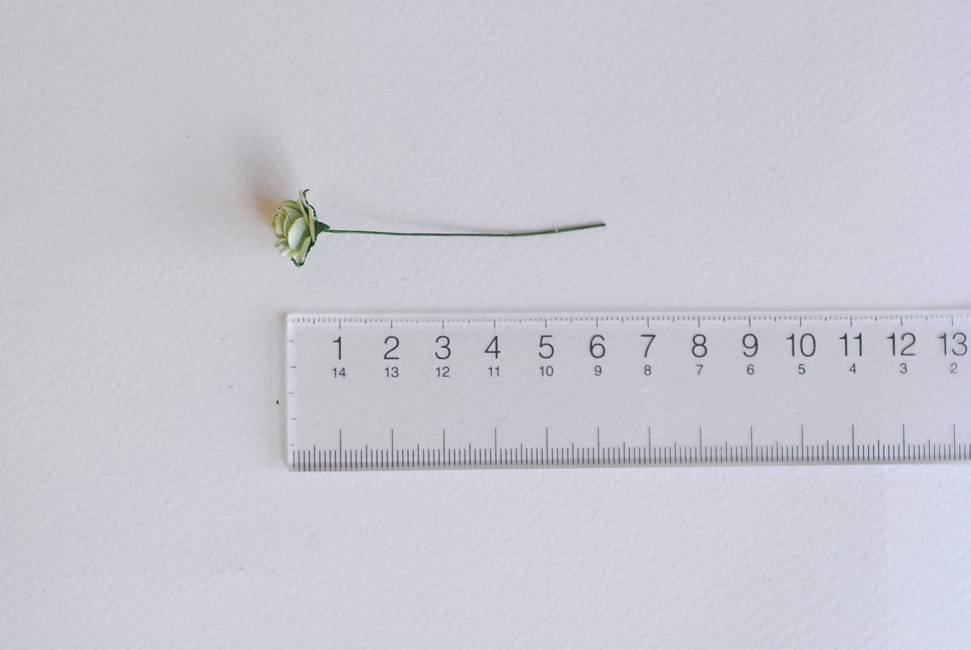 ซื้อ1 ห่อ แถม 1 ห่อ ดอกไม้กุหลาบกระดาษ ดอกไม้กระดาษสา, ดอกกุหลาบจิ๋ว, ดอกไม้กระดาษสาขายส่ง สีเขียวพาสเทล แถมสีเขียวจุดขาว ขนาด 1.5 cm. จำนวน 100 ดอก Paper Flowers size 1.5 cm., mini roses green mint color, 100 pcs. and get free 1 pack of green mint-white