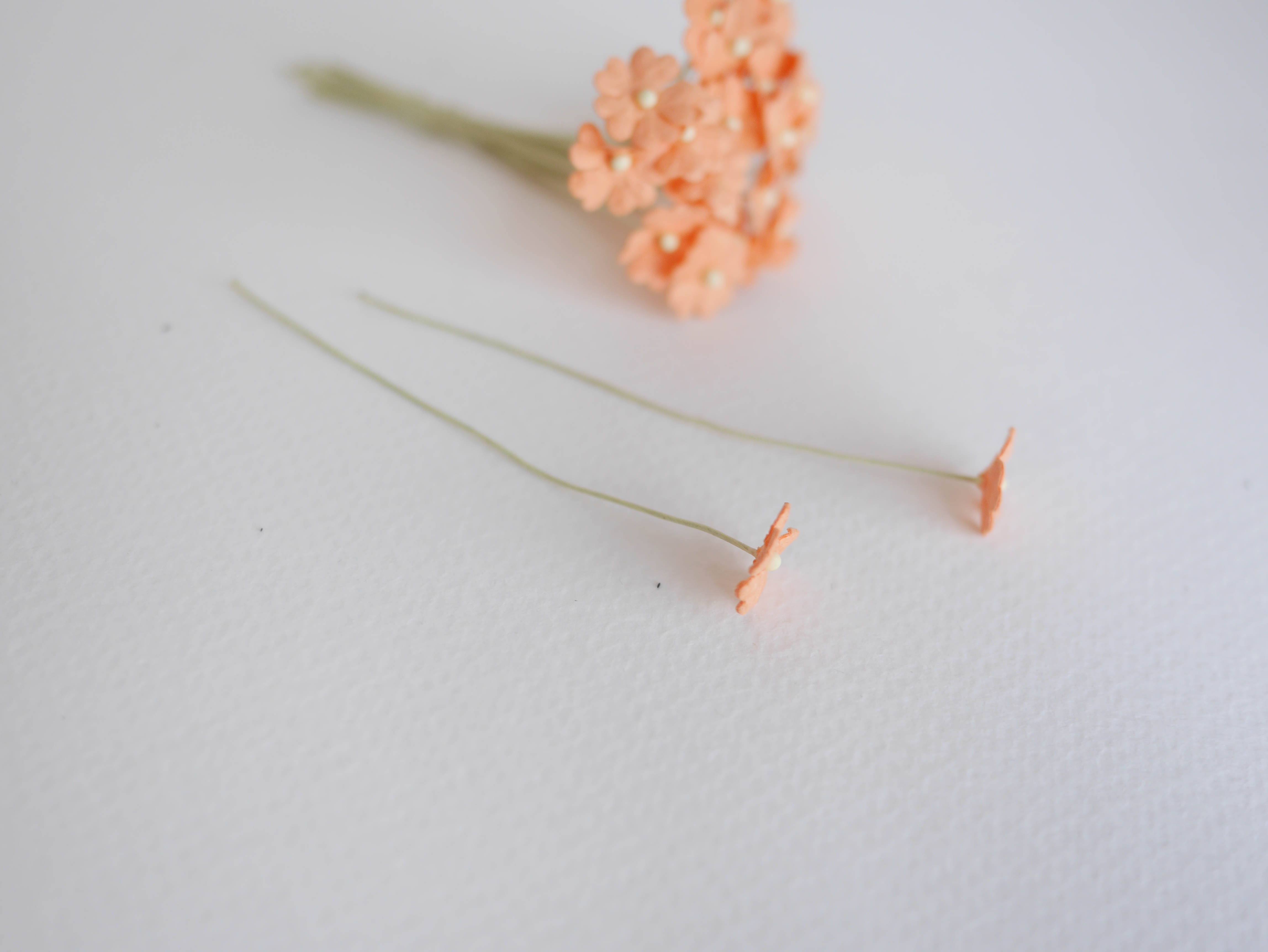 ดอกไม้กระดาษสา ดอกไม้กระดาษสาราคาส่ง ดอกไม้กระดาษสำหรับตกแต่ง งานแต่งงาน หรือติดของชำร่วย ดอกไม้จิ๋ว 100 ดอก ขนาด 1 cm. สีส้มพีช Small Paper Flower with stem, 100 pcs., size 1 cm., small creeping ladies flowers 1 layer, orange peach color.