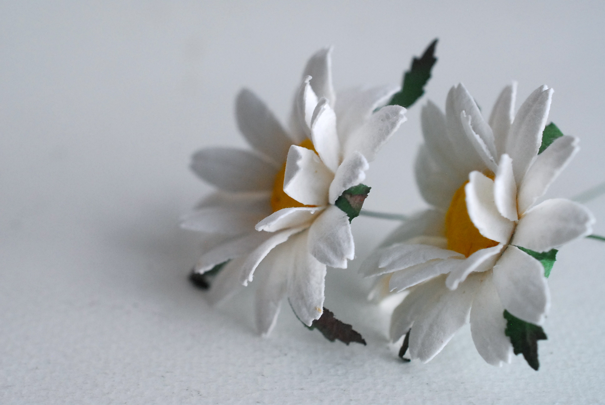 ดอกทานตะวันกระดาษ ดอกไม้กระดาษสา ดอกไม้ประดิษฐ์จากกระดาษสา ดอกทานตะวัน ดอกไม้กระดาษสาขายส่ง ดอกไม้ประดิษฐ์ ดอกไม้ทำข้อมือเพื่อนเจ้าสาว ขนาด 4.5 cm. จำนวน 25 ดอก สีขาว เกสรสีเหลือง Paper Flower, Sun Flowers, white color, size 4.5 cm 25pieces, yellow pollen