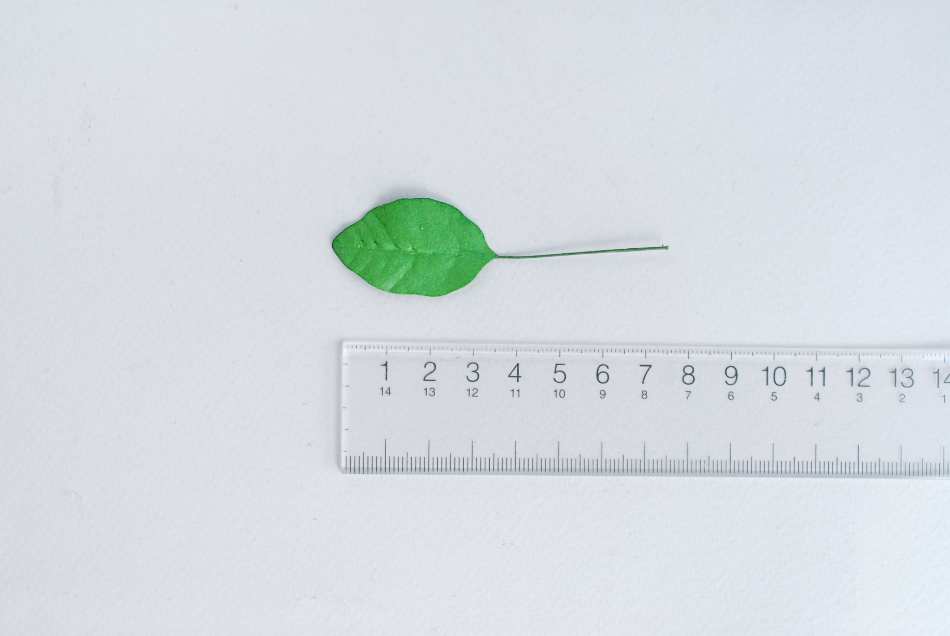 ใบไม้กระดาษ ใบไม้กระดาษสา ราคาส่ง,ใบไม่้กุหลาบกระดาษ สำหรับดอกมะลิกระดาษสา ใบไม้ประดิษฐ์ สำหรับตกแต่ง หรืองานแต่งงาน สีเขียวกลาง ขนาด 3.5x2.5 cm. จำนวน 50 ใบ