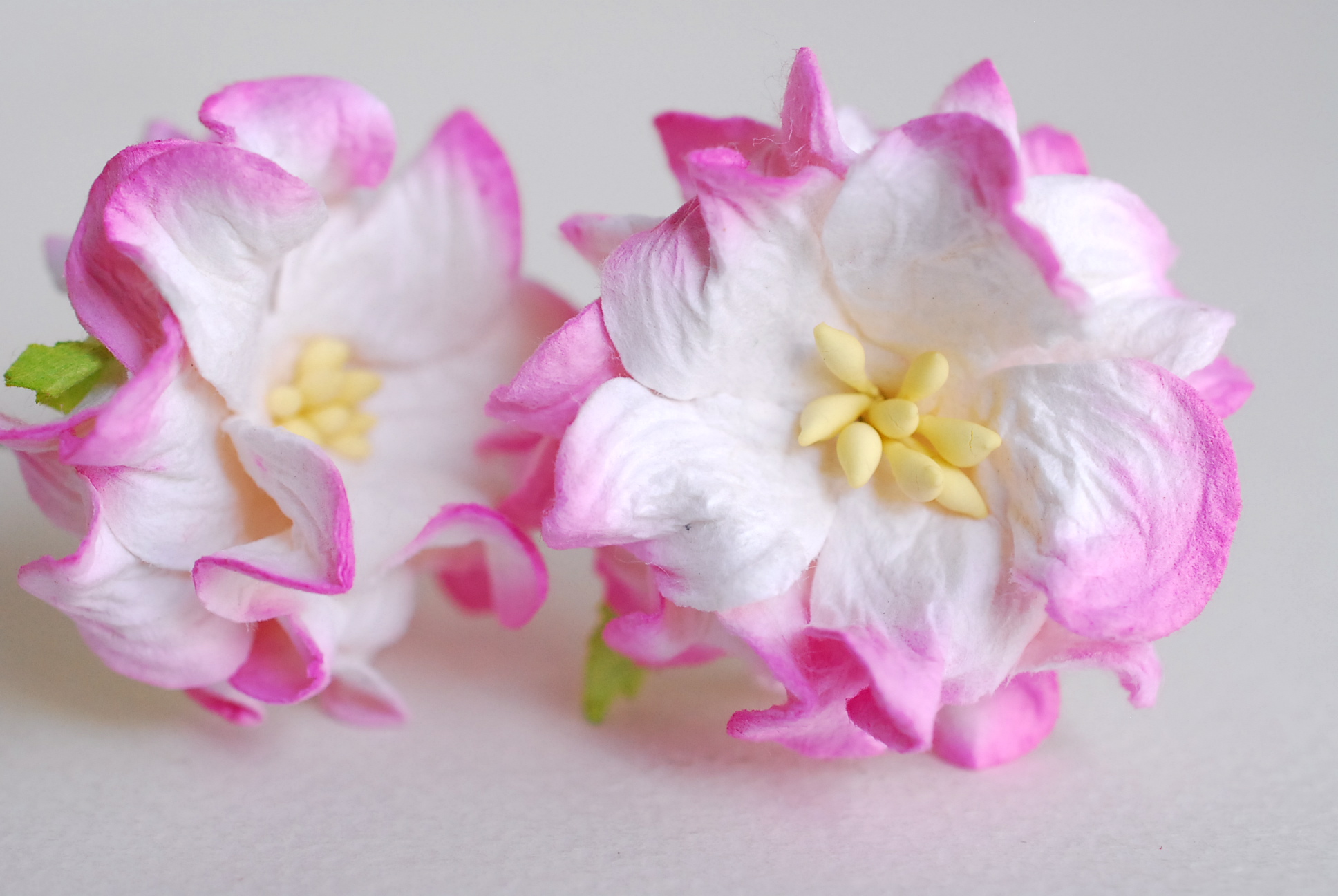 ดอกไม้กระดาษสา ราคาส่ง, ดอกการเดนเนียกระดาษสา ดอกไม้ประดิษฐ์ ตกแต่งงานแต่งงาน ประดิษฐ์ข้อมือเพื่อนเจ้าสาว ขนา่ด 3.5 cm., สำหรับของชำร่วย, งานแต่งงาน, ดอกไม้ทำข้อมือเจ้าสาว สีชมพูัดขาว จำนวน 25 ดอก Paper flower,25 Pieces mulberry gardenia flowers supplies