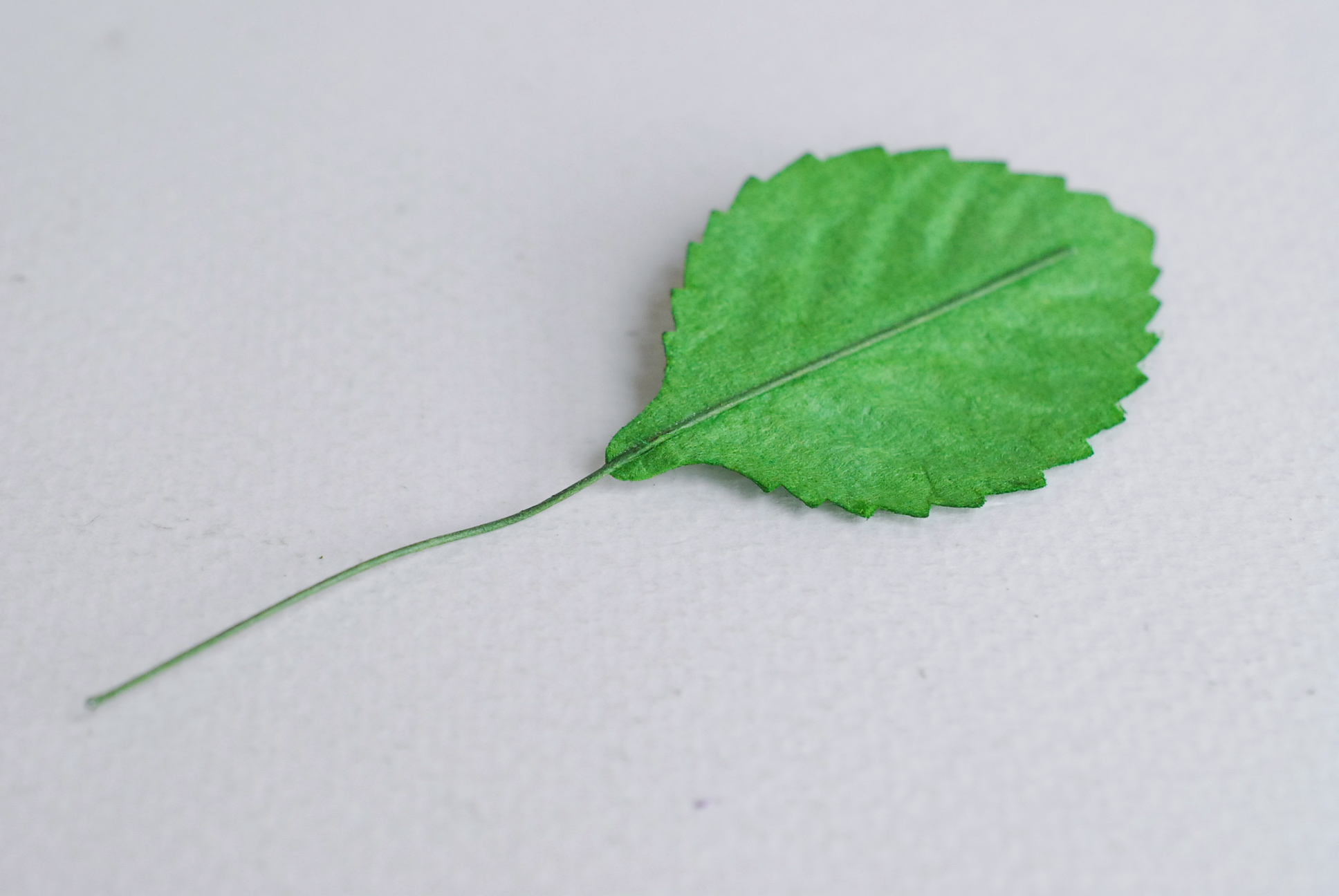 ใบไม้กระดาษ ใบไม้กระดาษสา ราคาส่ง,ใบไม่้กุหลาบกระดาษ สำหรับดอกกุหลาบกระดาษสา ใบไม้ประดิษฐ์ สำหรับตกแต่ง หรืองานแต่งงาน สีเขียว ขนาด 4.5x2.5 cm. จำนวน 50 ใบ