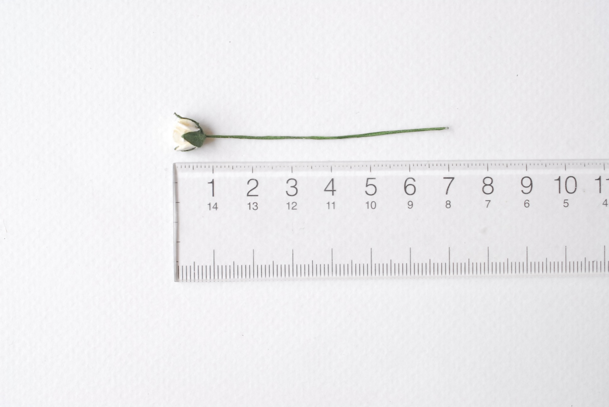 ดอกไม้กระดาษสา ดอกไม้กระดาษสา จตุจักร งานประดิษฐ์ ดอกไม้ทำข้อมือเพื่อนเจ้าสาว แต่งงาน, ดอกกุหลาบตูม 50 ดอก สีครีมอ่อน ขนาด 0.8x0.8 cm. paper flowers, budding roses flower 0.8 x 0.8 cm. 50 pieces. ivory color