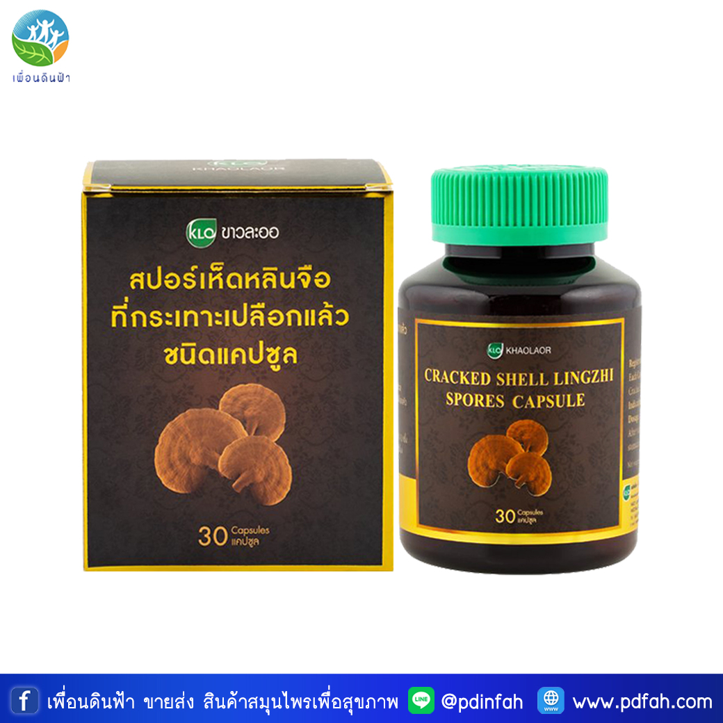 B19 ขาวละออ สปอร์เห็ดหลินจือ 30 แคปซูล KHOALAOR CRACKED SHELL LINGZHI SPORES 30 CAPSULES
