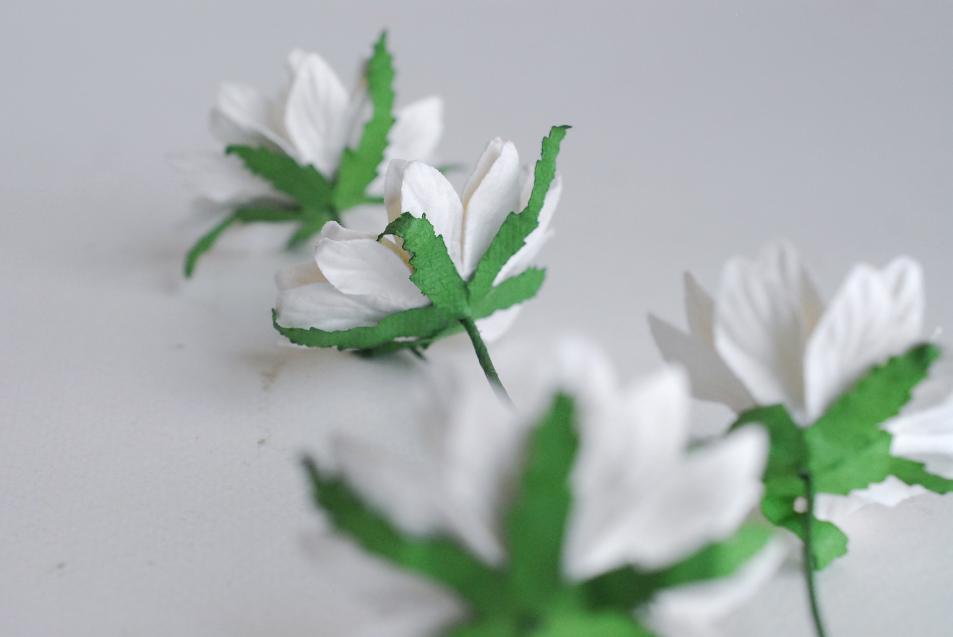 ดอกไม้กระดาษสา ดอกไม้ประดิษฐ์จากกระดาษสา ดอกเดซี่ เกสรสีทอง ดอกไม้กระดาษสาขายส่ง ดอกไม้ประดิษฐ์ ดอกไม้ทำข้อมือเพื่อนเจ้าสาว ดอก daisy ขนาด 5cm. จำนวน 25 ดอก สีขาว Paper Flower, 25 Daisy Flowers, ivory color, size 5 cm., golden pollen.