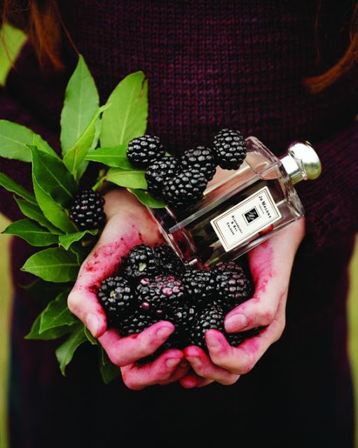 JO MALONE LONDON Blackberry & Bay EDC แบ่งขาย