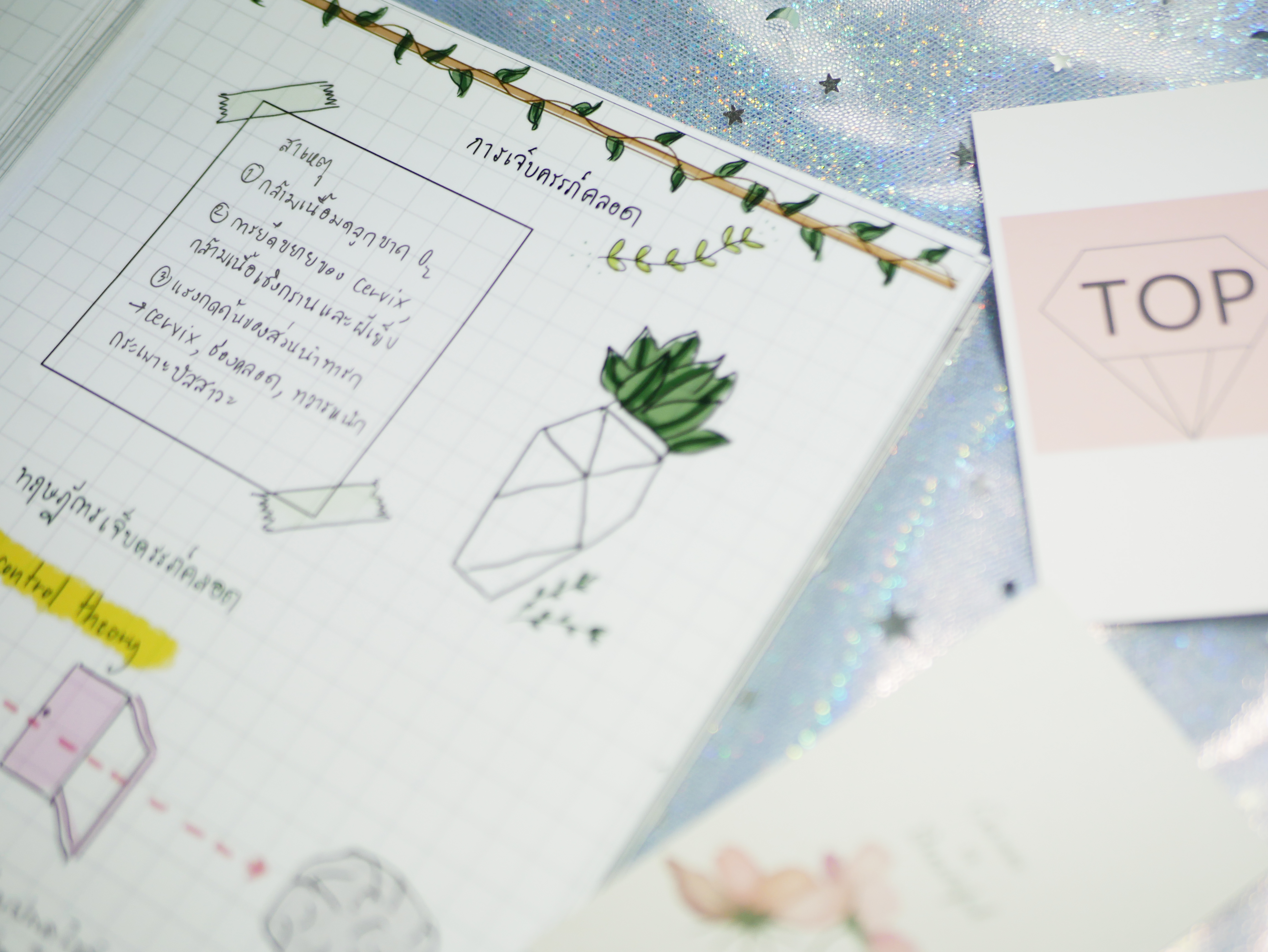 Shortnote การพยาบาลมารดาทารก