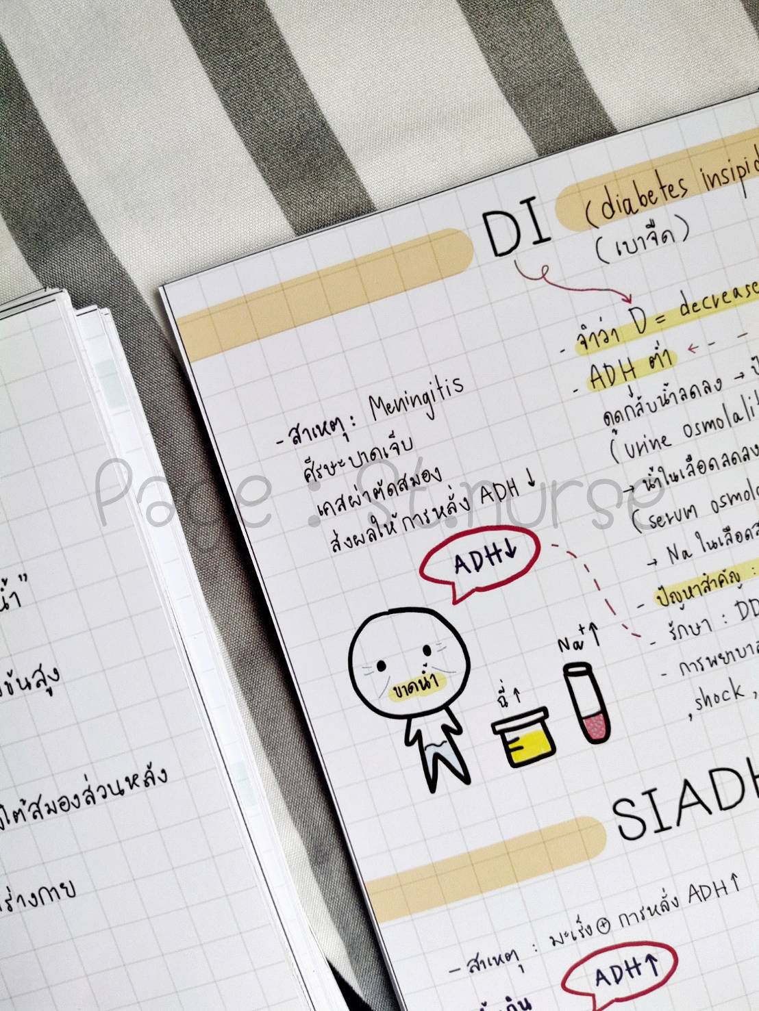 shortnote ผู้ใหญ่ Part1