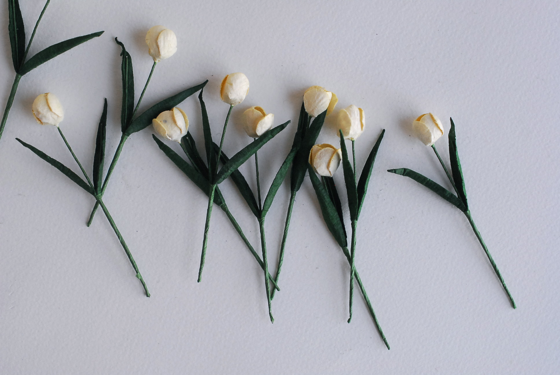 ดอกไม้ประดิษฐ์, ดอกไม้กระดาษสา, ดอกtulips, ดอกทิวลิปส์, ก้านสีเขียว เกสรสีขาว งานประดิษฐ์ตกแต่งของชำร่วย,ทำการ์ดรับเชิญ,ช่อดอกไม้ขนาดเล็ก, ขนาด 1.5 cm. สีขาวครีม