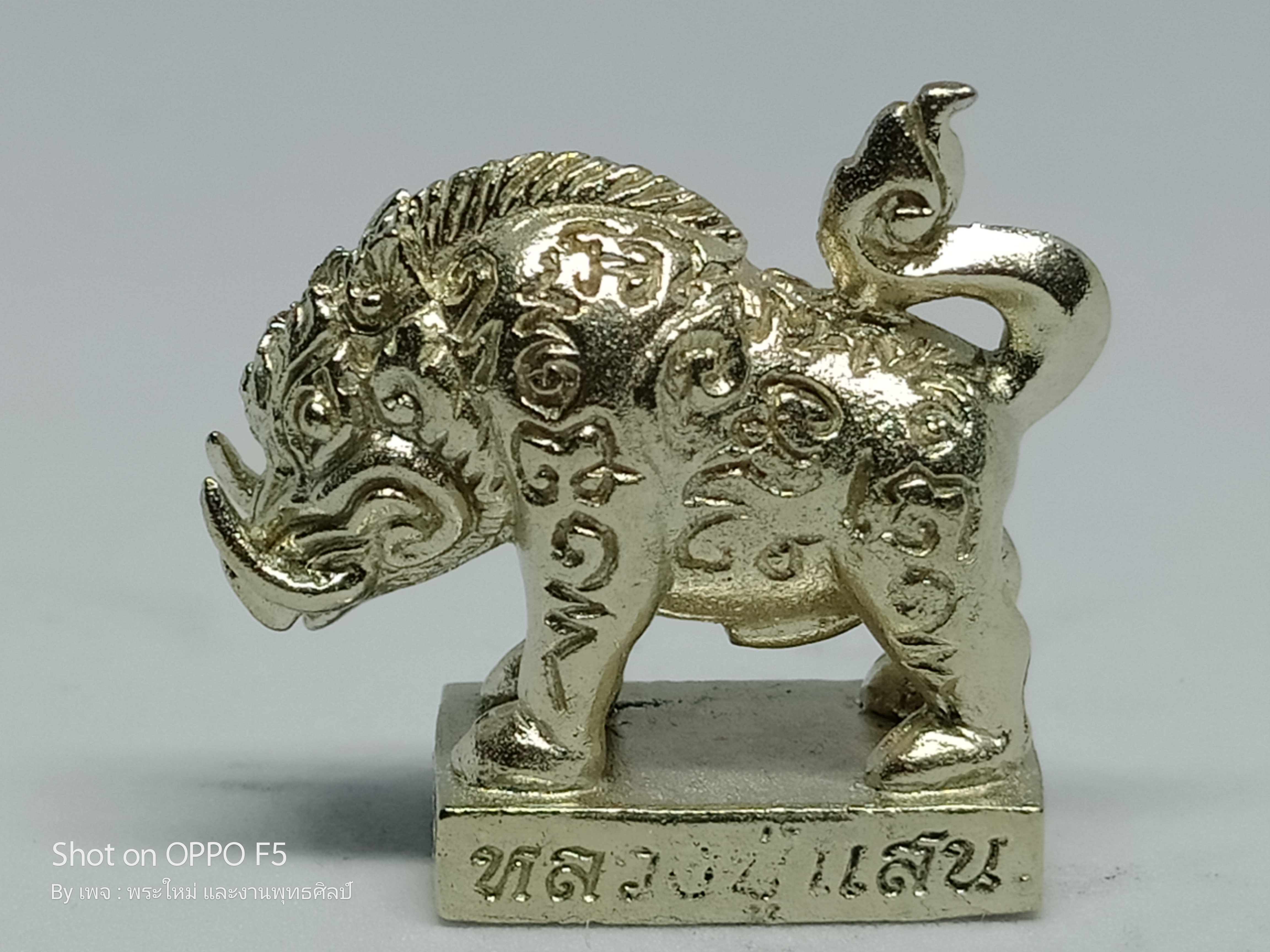 พญาหมูป่ามหาลาภ