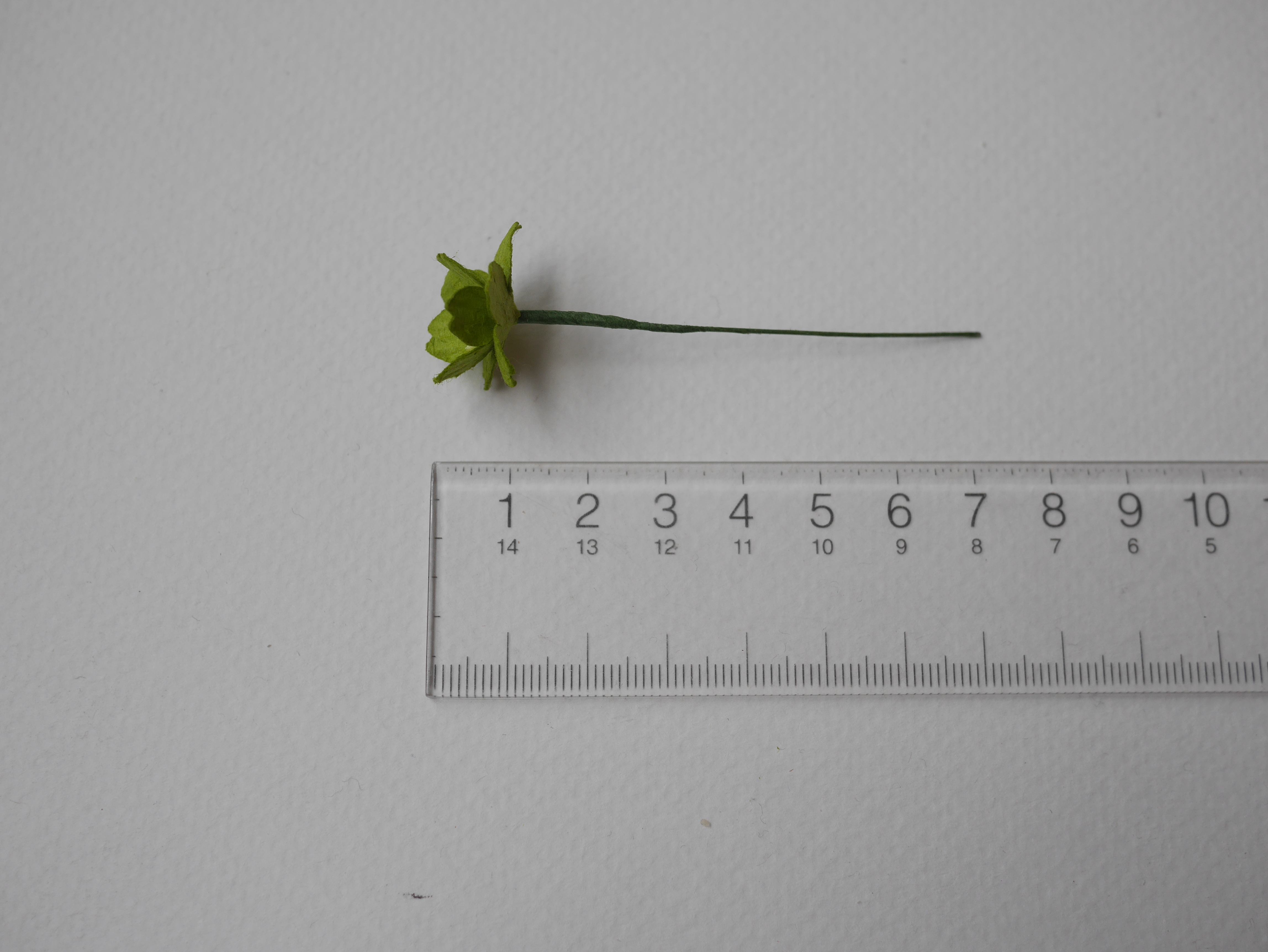 ดอกไม้กระดาษสา ดอกซากุระกระดาษ ดอกไม้กระดาษสาราคาส่ง ดอกไม้กระดาษสำหรับตกแต่งของชำร่วย งานแต่งงาน ทำช่อดอกไม้ติดอกเจ้าบ่าว ข้อมือดอกไม้เจ้าสาว ขนาด 2.00 cm. 50 ดอก สีเขียว Paper flowers supplies: DIY wedding tools Cherry blossom (Sakura) 50 pcs. size 2.0