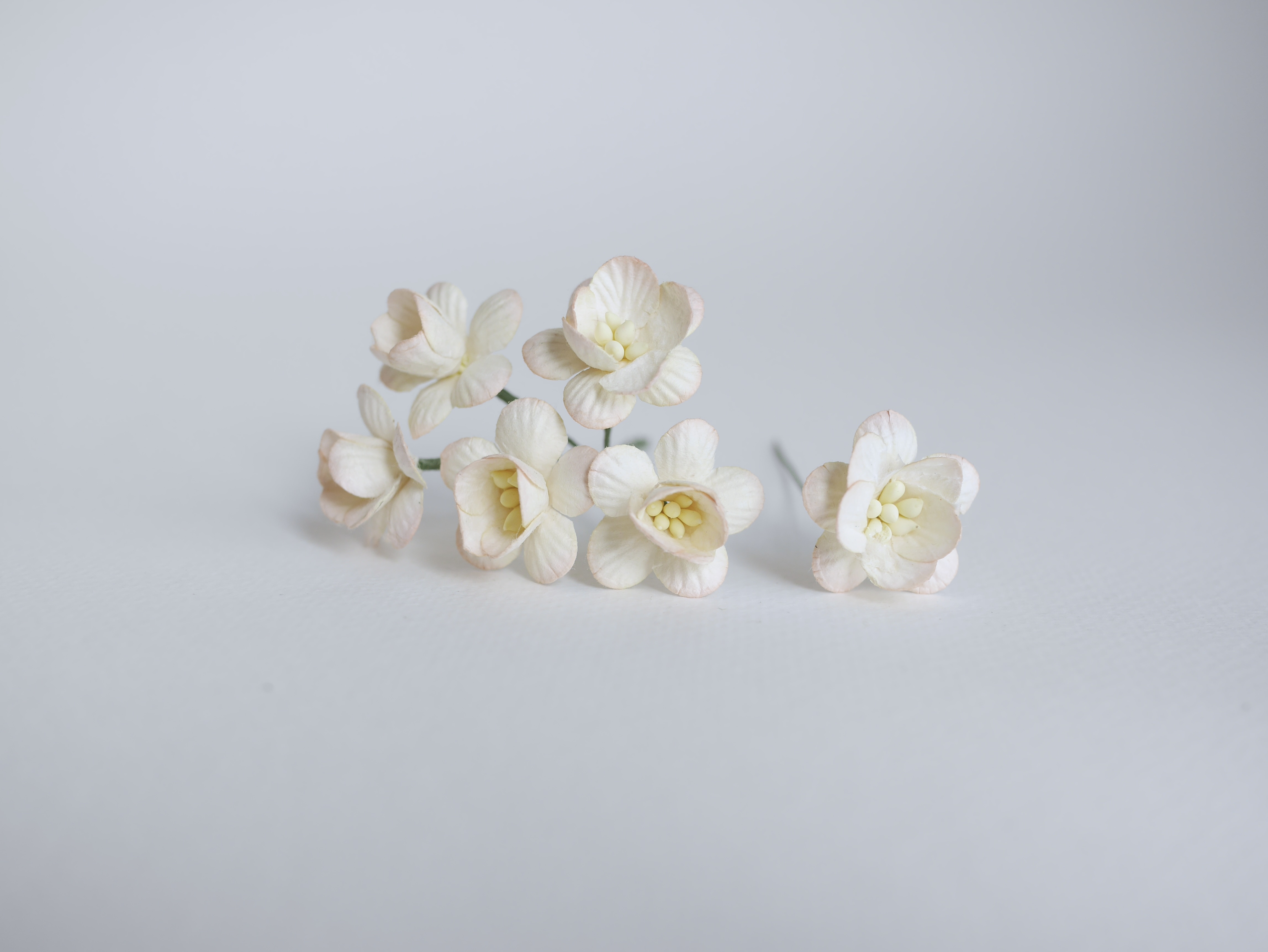 ดอกไม้กระดาษสา ดอกซากุระกระดาษ ดอกไม้กระดาษสาราคาส่ง ดอกไม้กระดาษสำหรับตกแต่งของชำร่วย งานแต่งงาน ทำช่อดอกไม้ติดอกเจ้าบ่าว ข้อมือดอกไม้เจ้าสาว ขนาด2.5 cm. 50 ดอก สีพีชปัดครีม Paper flowers supplies: DIY wedding tools Cherry blossom (Sakura) 50 pcs. size 2