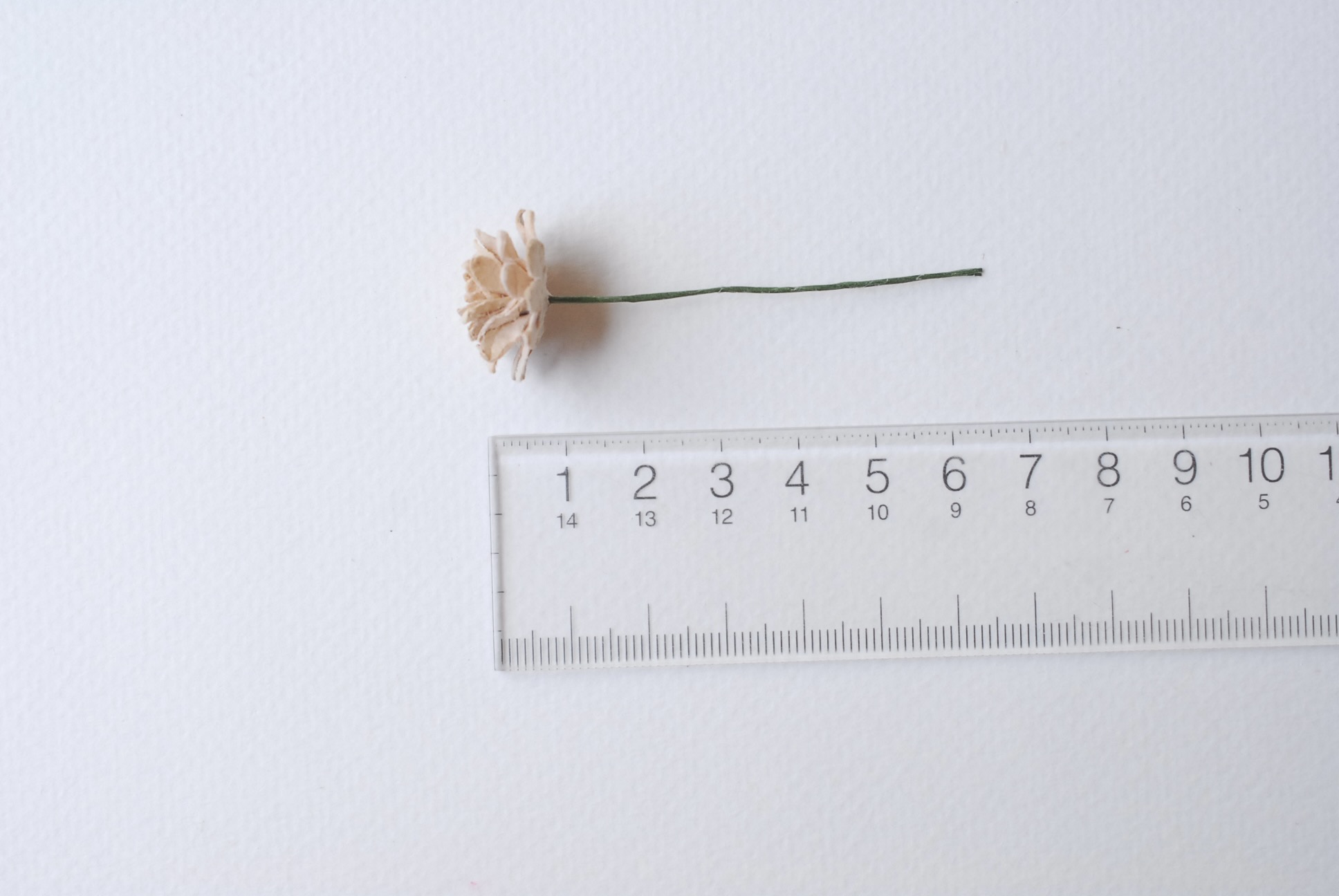 ดอกไม้ประดิษฐ์, ดอกไม้กระดาษสา, ดอก gypsophila, ดอกยิปโซ งานประดิษฐ์ตกแต่งของชำร่วย, ดอกไม้ทำพานพุ่ม,พานพวงมาลัย, พานรับไหว้, ขนาด 2 cm. สีน้ำตาลอ่อน