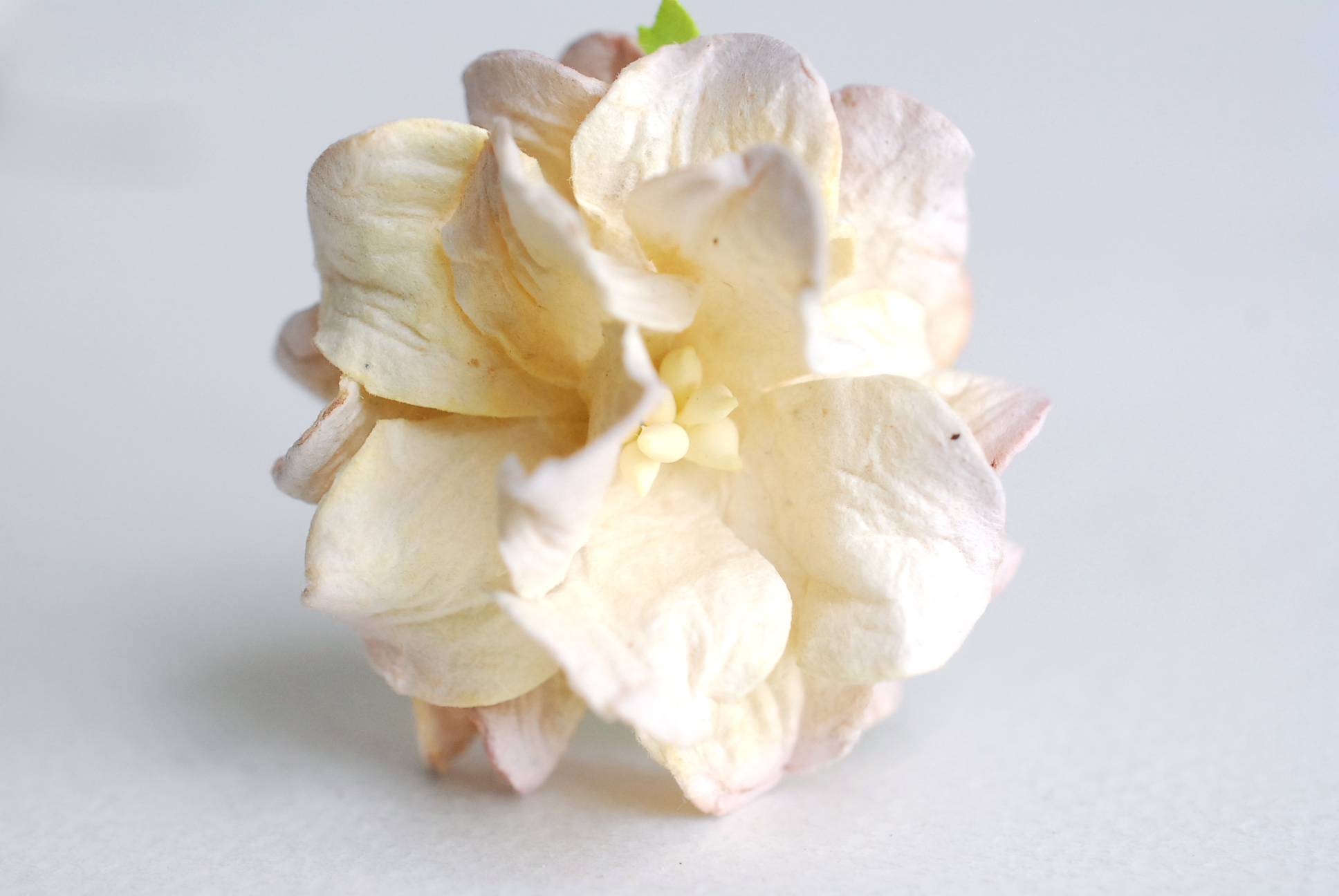 ดอกไม้กระดาษสา ราคาส่ง, ดอกการเดนเนียกระดาษสา ดอกไม้ประดิษฐ์ ตกแต่งงานแต่งงาน ประดิษฐ์ข้อมือเพื่อนเจ้าสาว ขนา่ด 3.5 cm., สำหรับของชำร่วย, งานแต่งงาน, ดอกไม้ทำข้อมือเจ้าสาว สีครีมปัดม่วงอ่อน จำนวน 25 ดอก Paper flower,25 Pieces mulberry gardenia flowers sup