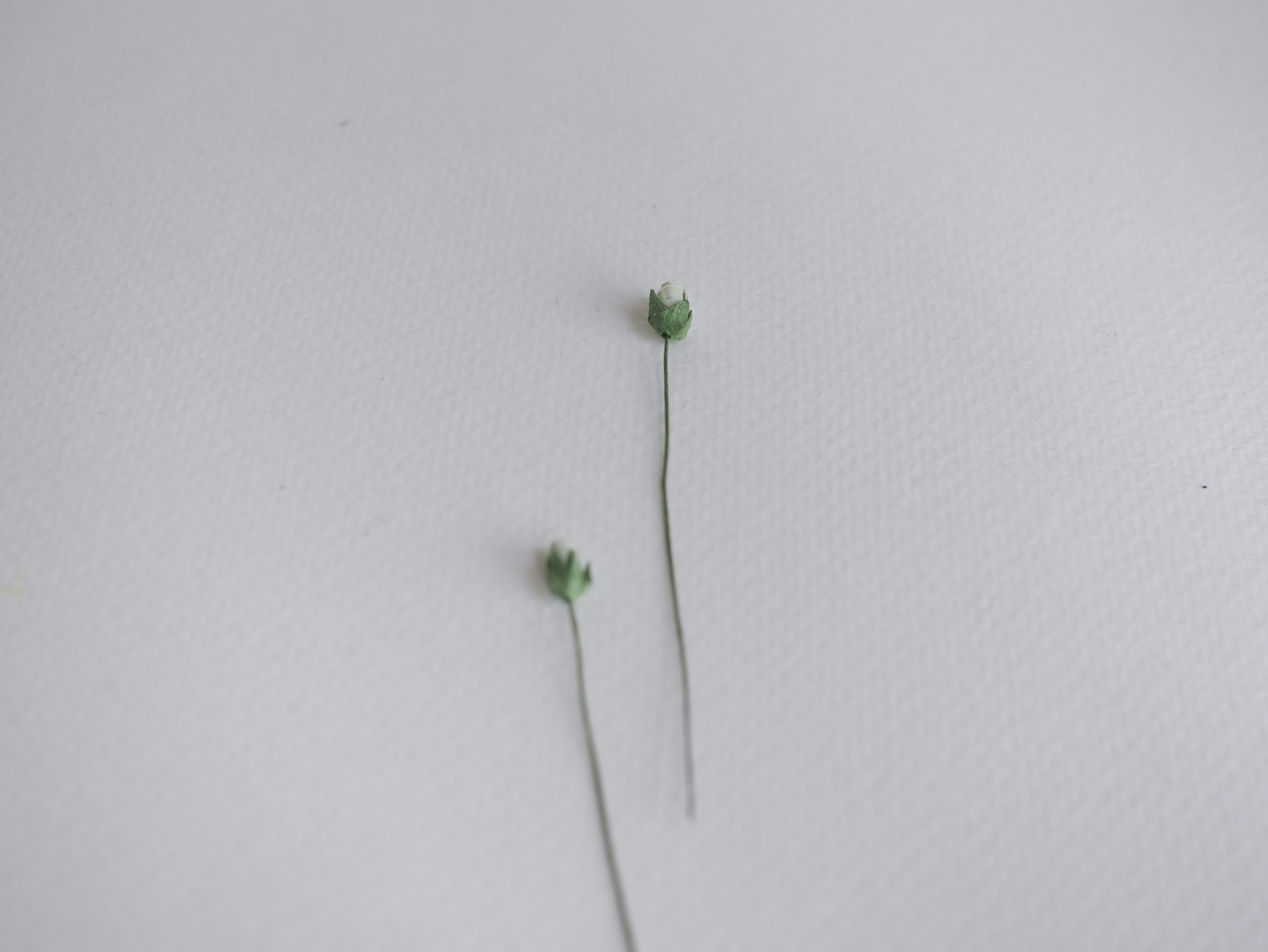 ดอกไม้กระดาษสา ดอกไม้กระดาษสา งานประดิษฐ์ ดอกไม้ทำข้อมือเพื่อนเจ้าสาว แต่งงาน, ดอกกุหลาบตูม 100 ดอก สีเขียวตุ่น ขนาด 0.5x0.8 cm. paper flowers, budding roses flower 0.5x0.8 cm. 100 pieces. pale greentea color.