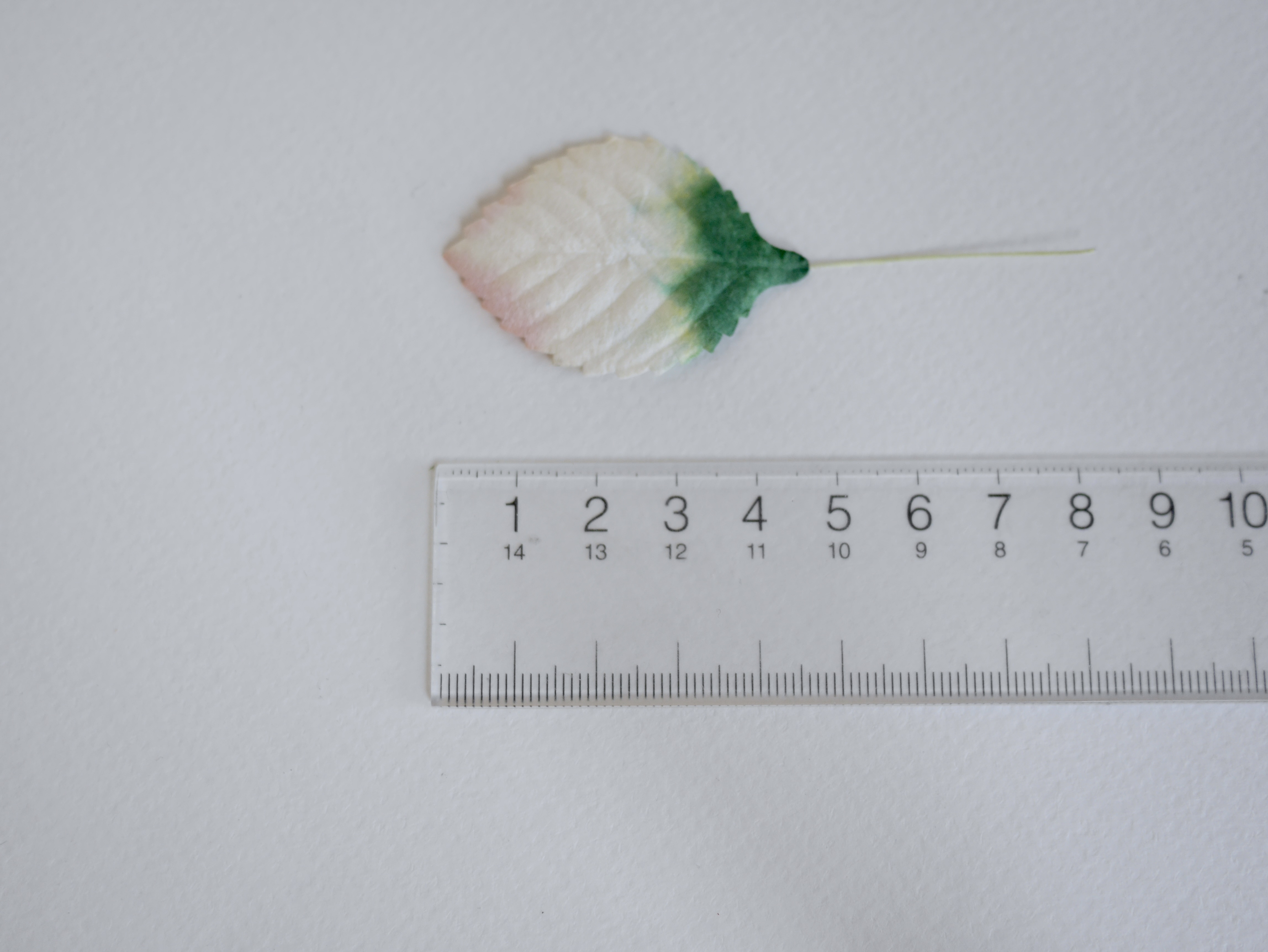 ใบไม้กระดาษ ใบไม้กระดาษสา ราคาส่ง,ใบไม่้กุหลาบกระดาษ สำหรับดอกกุหลาบกระดาษสา ใบไม้ประดิษฐ์ สำหรับตกแต่ง หรืองานแต่งงาน สีขาวปัดเขียวแก่ ขนาด 4.5x2.5 cm. จำนวน 50 ใบ สำเนา