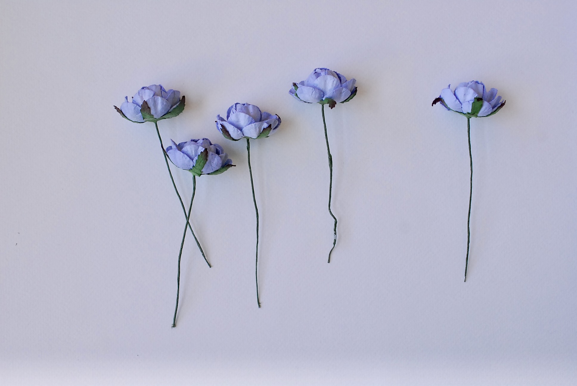 ดอกไม้กระดาษสาราคาส่ง, ดอกไม้กระดาษ,สำหรับตกแต่งของชำร่วย งานแต่งงาน ดอกกุหลาบกลม peony ขนาด 3.5 cm. จำนวน 25 ดอก, สีน้ำเงินตุ่น Paper Flowers, Peony flowers supplies size 3.5 cm./ 25 pieces, handmade flowers, peony pale blue color.