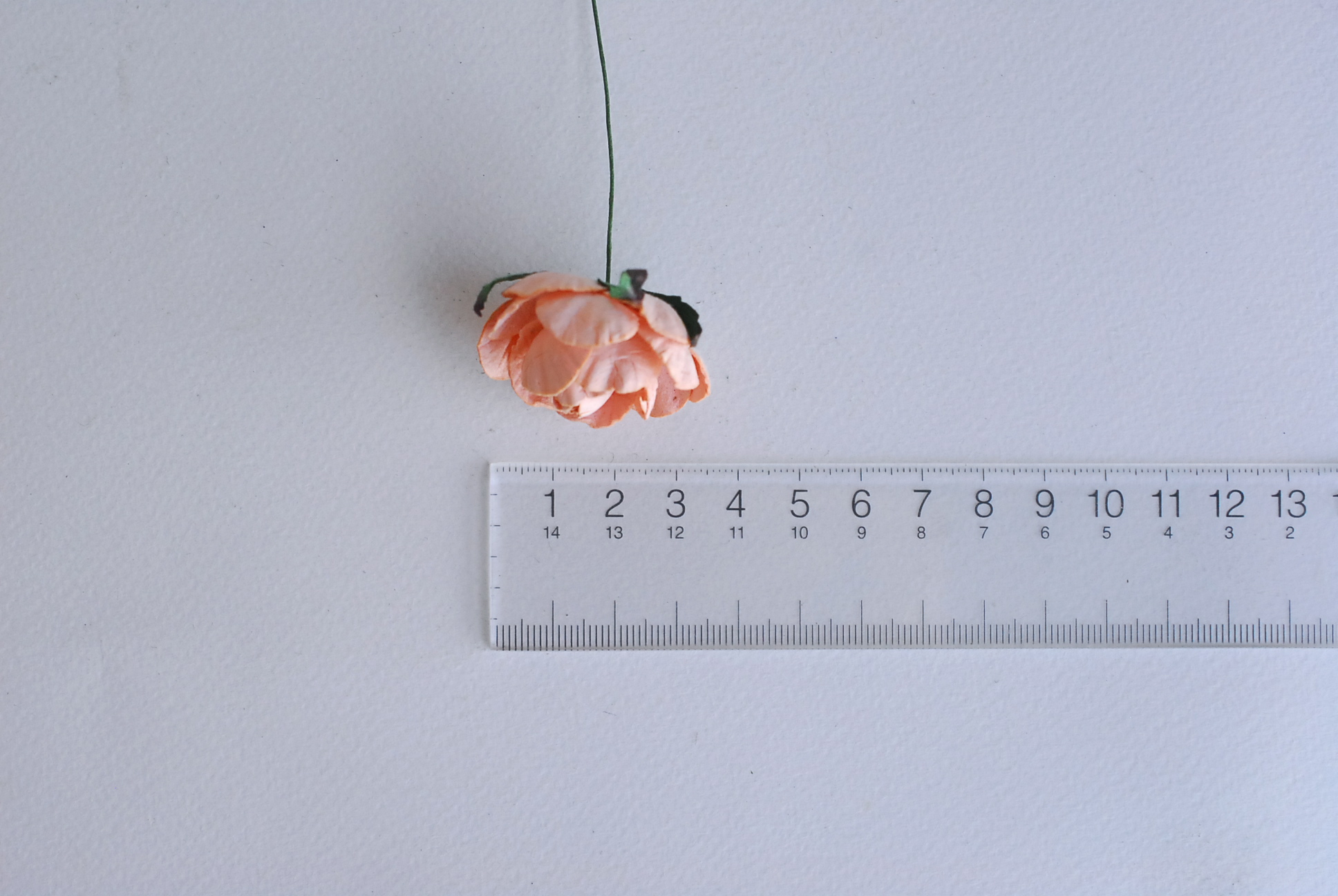 ดอกกุหลาบกระดาษสา peony ดอกไม้กระดาษสาราคาส่ง, ดอกไม้กระดาษ,ดอกไม้ประดิษฐ์ สำหรับตกแต่งของชำร่วย งานแต่งงาน ดอกกุหลาบกลม peony ขนาด 3.5 cm. จำนวน 25 ดอก, สีส้มพีช Paper Flowers, Peony flowers supplies size 3.5cm./ 25 pieces, handmade flowers. peach orange