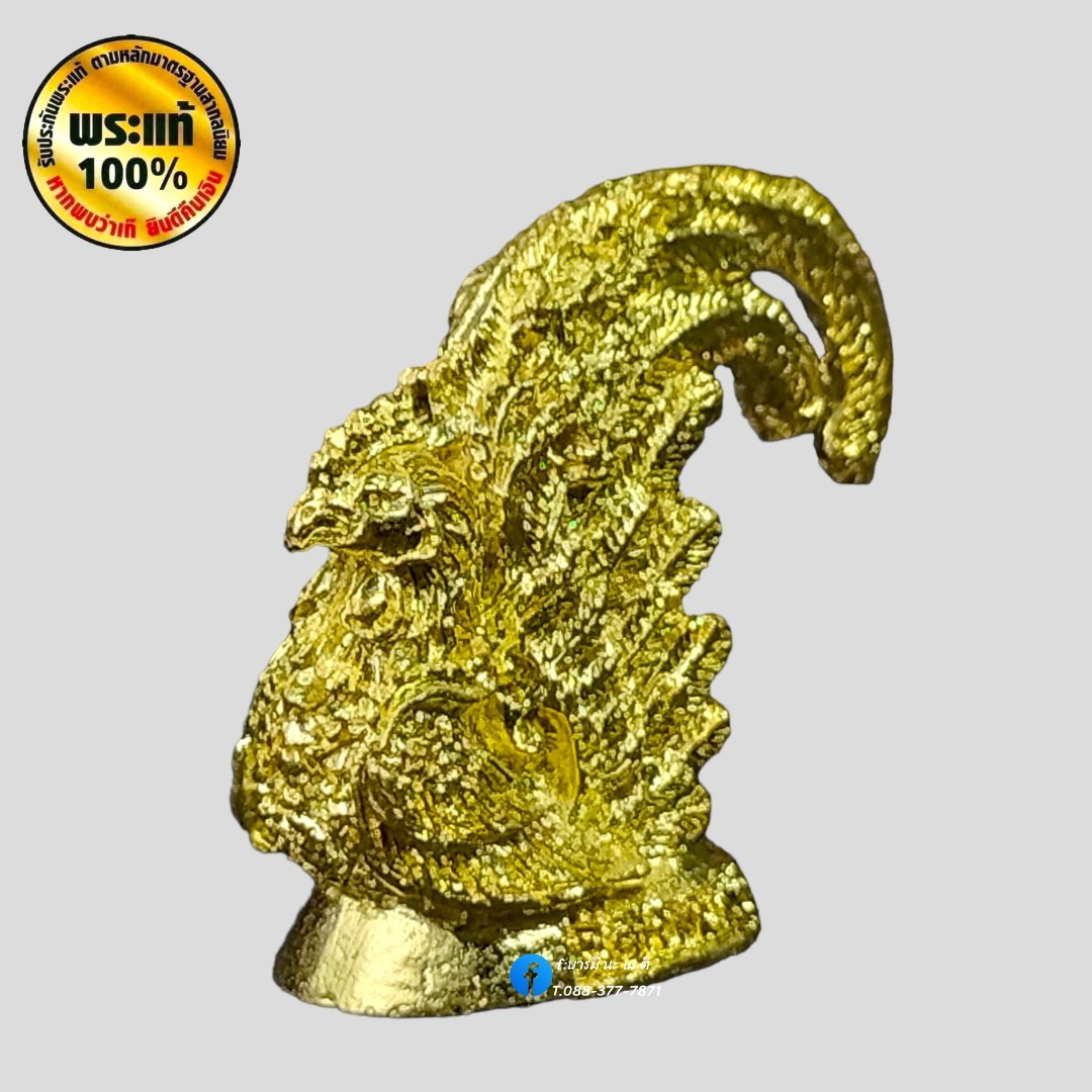 พญาไก่ โชคดี หลวงพ่อรวย ปาสาทิโก วัดตะโก